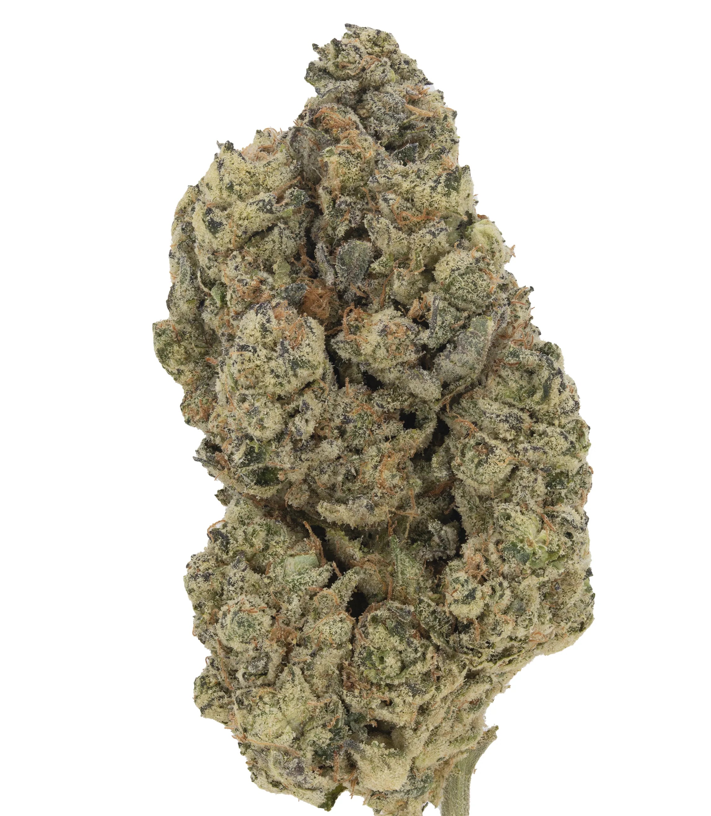 Sativa Diva - Damn Good | Legal Cannabis