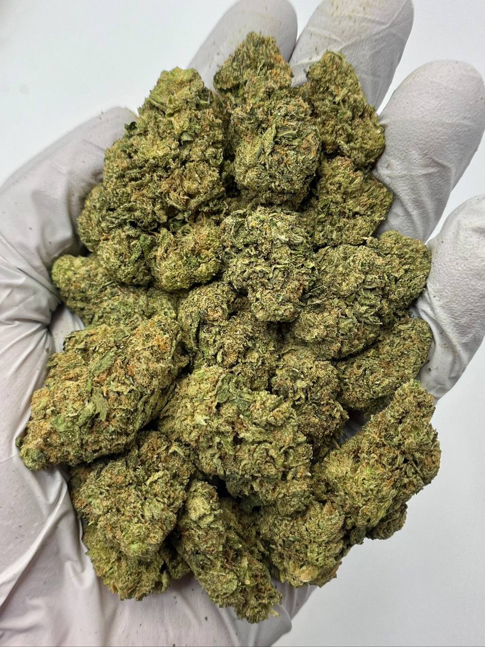 Sherb Cream Pie - Damn Good | Legal Cannabis