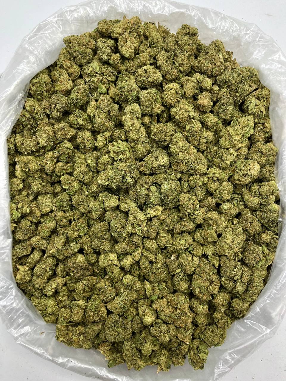 Sherb Cream Pie - Damn Good | Legal Cannabis