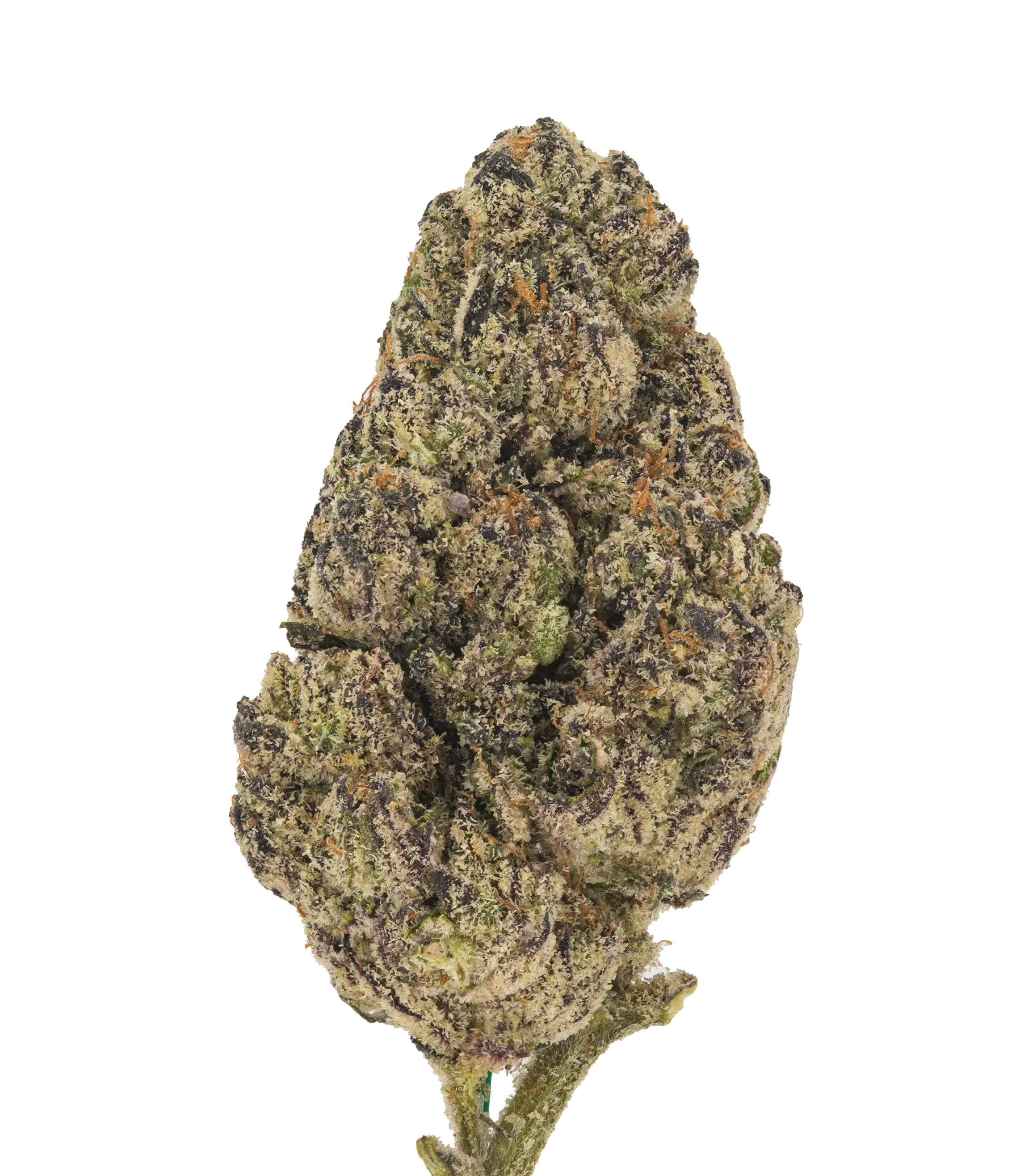 Sherbet - Damn Good | Legal Cannabis