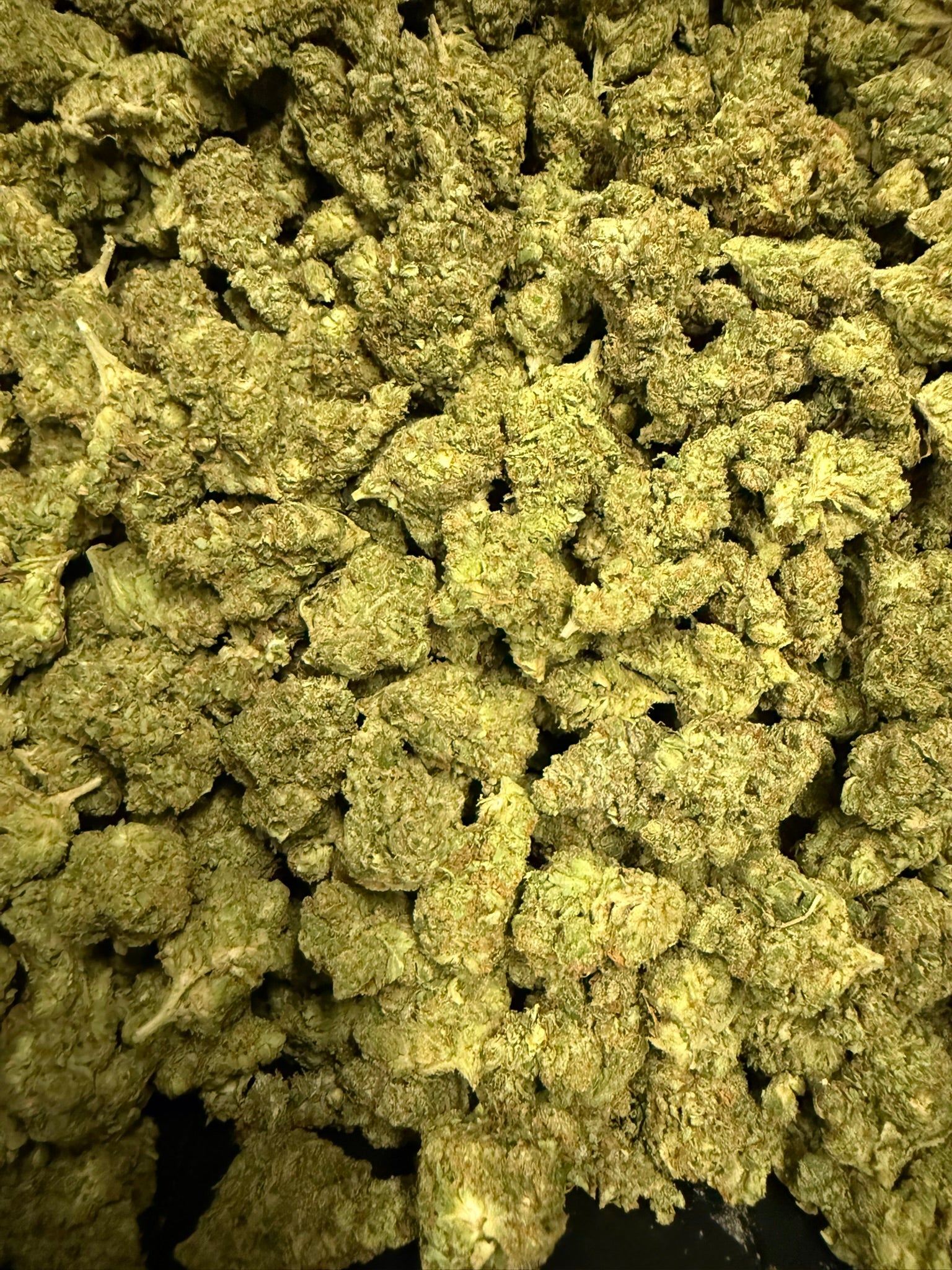 Super Glue - Damn Good | Legal Cannabis