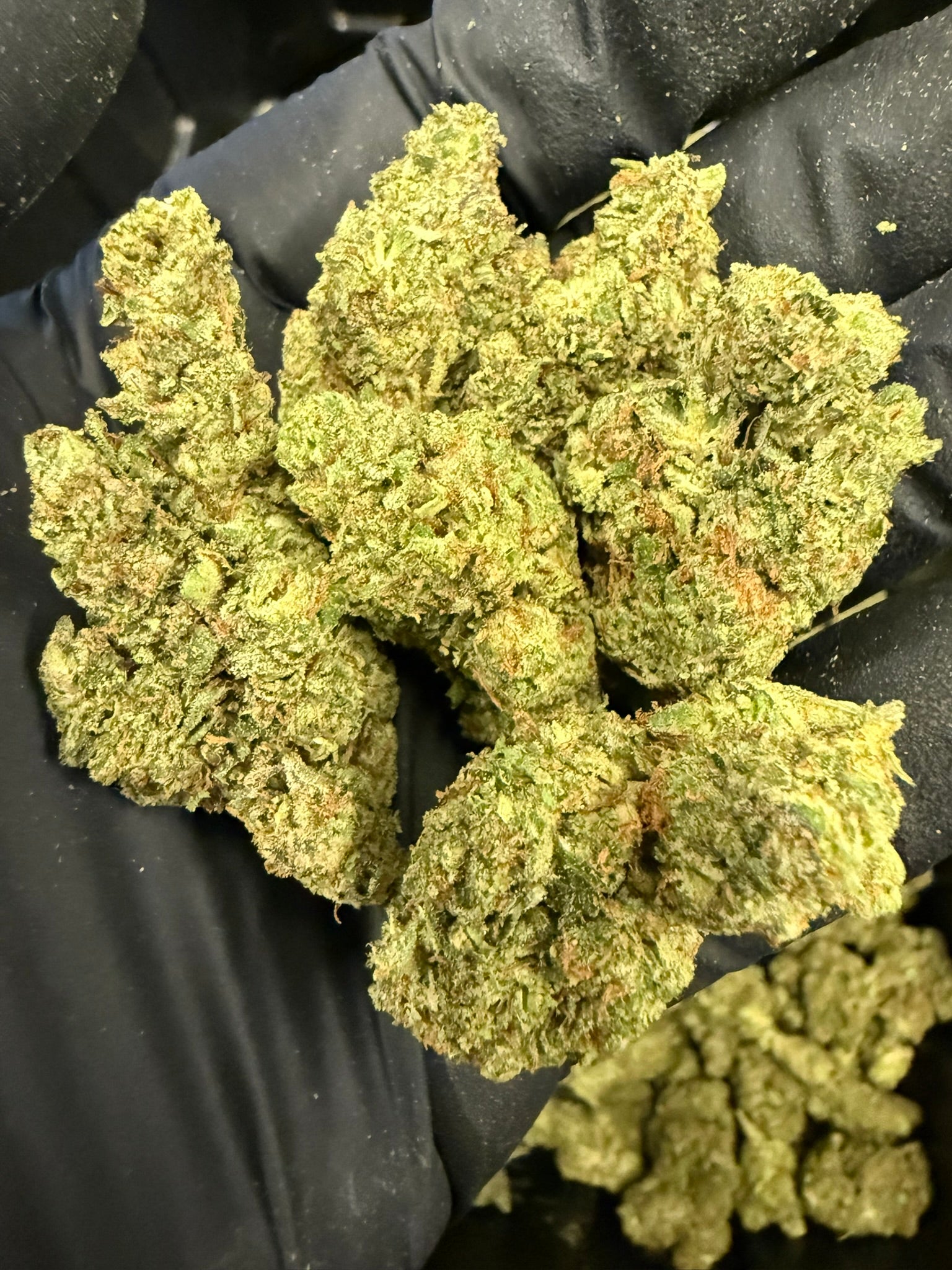 Super Glue - Damn Good | Legal Cannabis