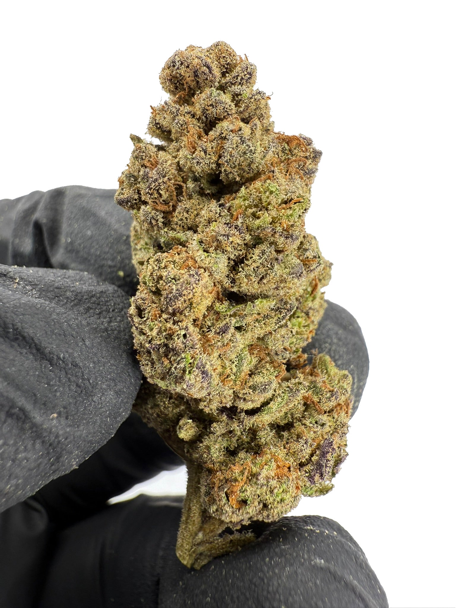 Tangy - Damn Good | Legal Cannabis