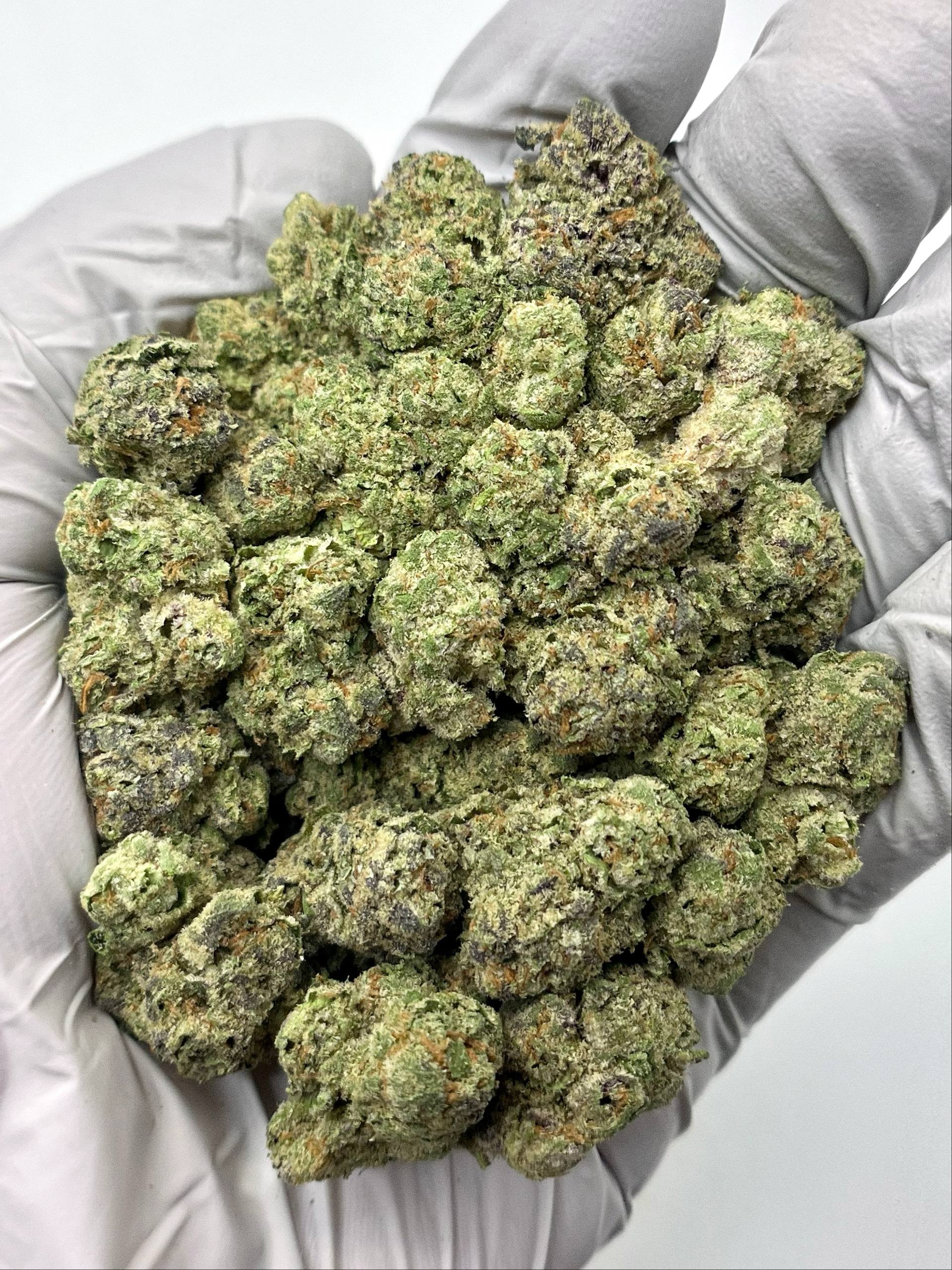 Thin Mintz x Jealousy - Damn Good | Legal Cannabis