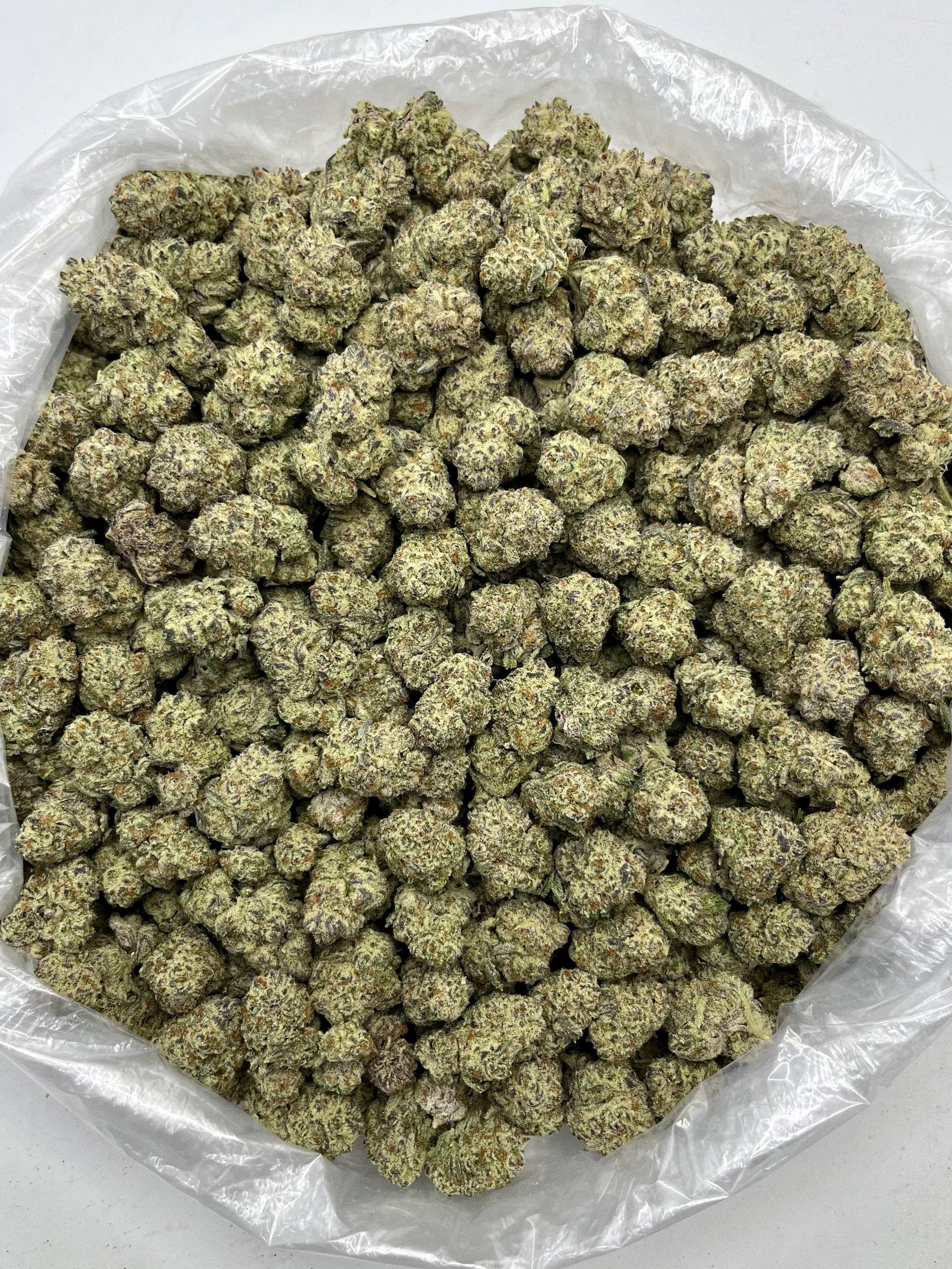 Truffle Pig - Damn Good | Legal Cannabis