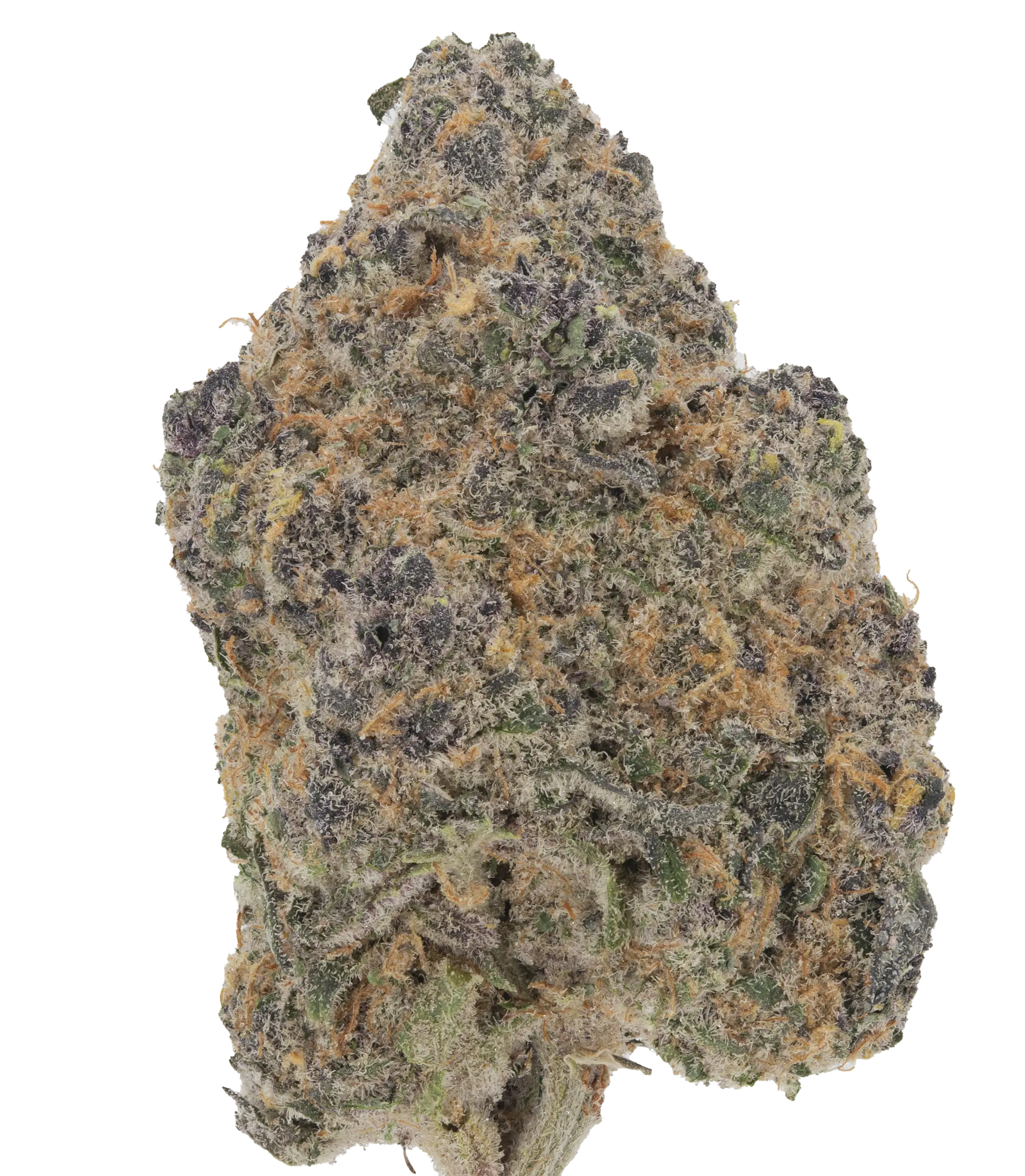 Watermelon Gumdrop - Damn Good | Legal Cannabis