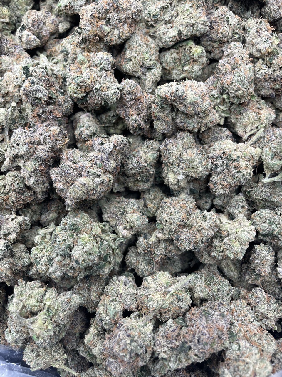 Wild Cherry Runtz - Damn Good | Legal Cannabis