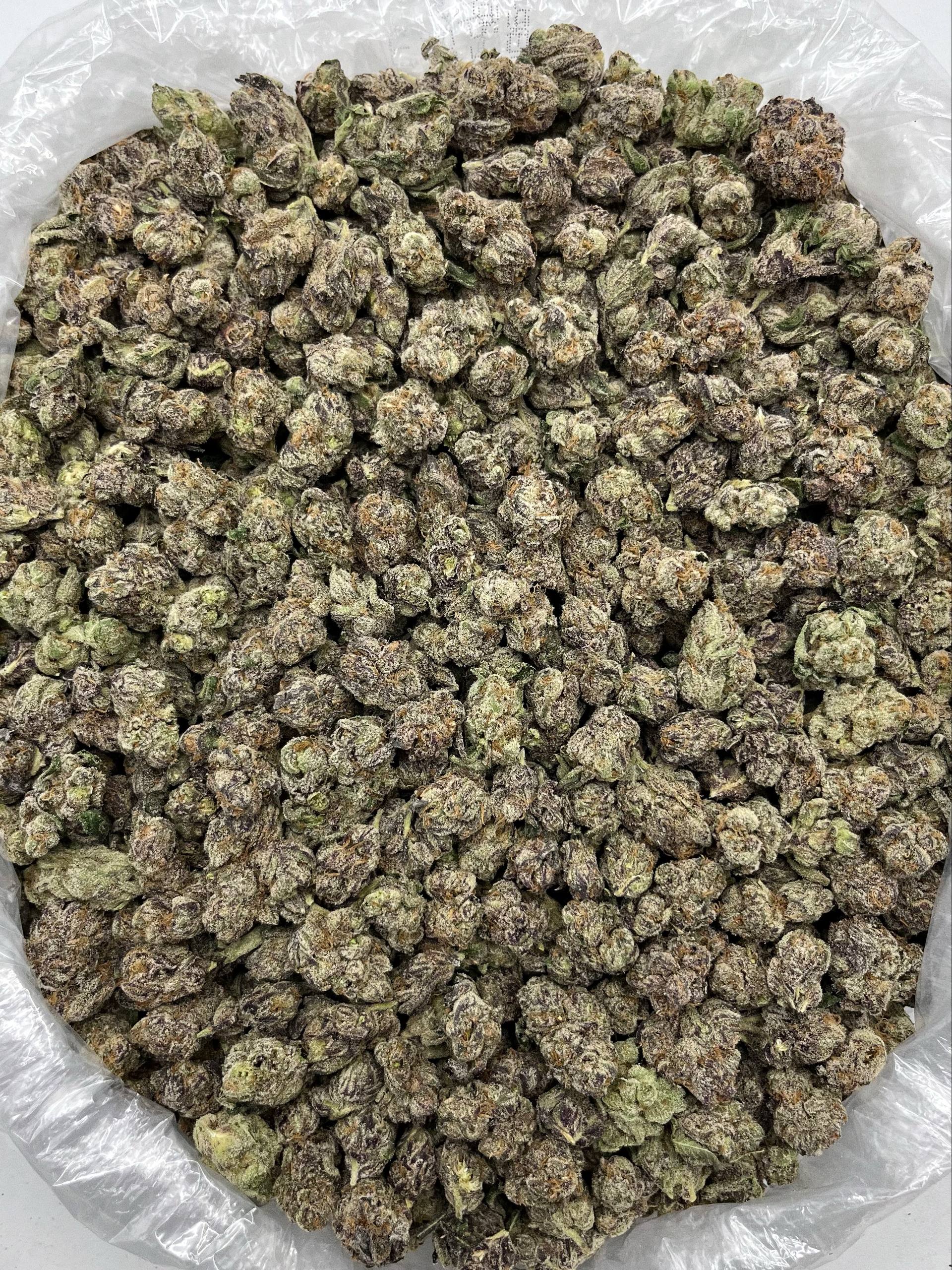 Yolo Runtz - Damn Good | Legal Cannabis