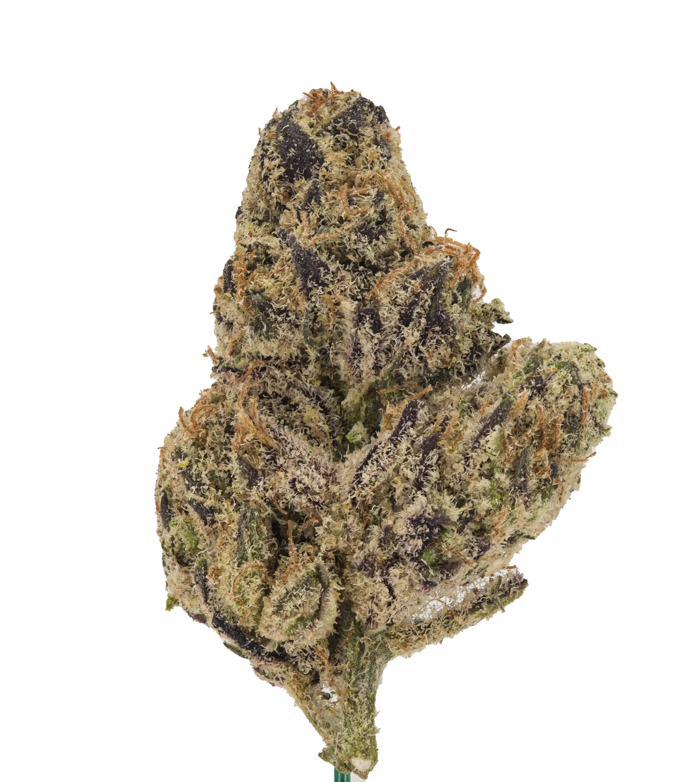 Zuper Plusher Smalls - Damn Good | Legal Cannabis