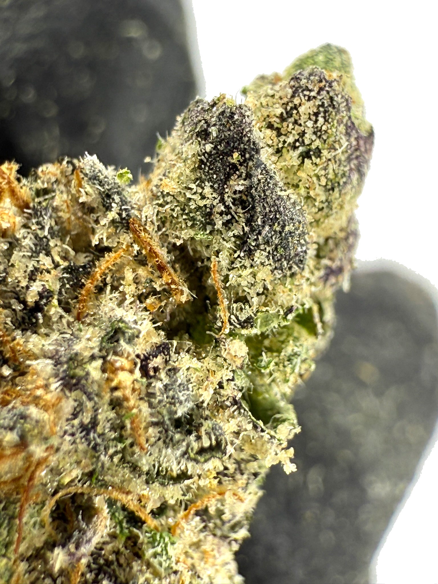 Blue Andeze - Damn Good | Legal Cannabis