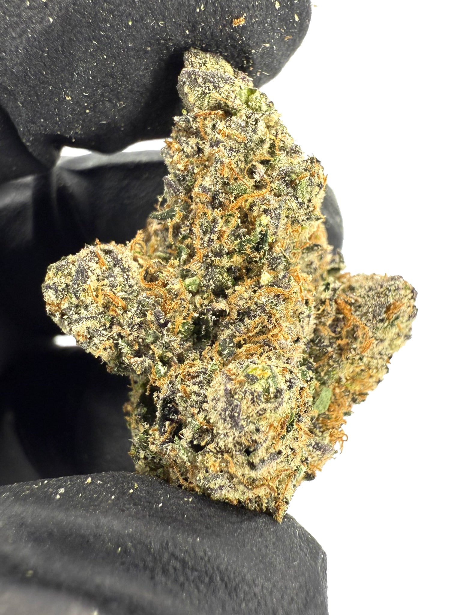 Blue Andeze - Damn Good | Legal Cannabis