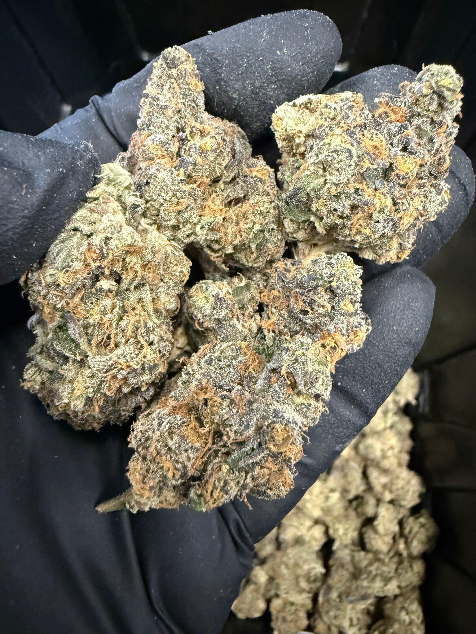 Carbon Fiber - Damn Good | Legal Cannabis