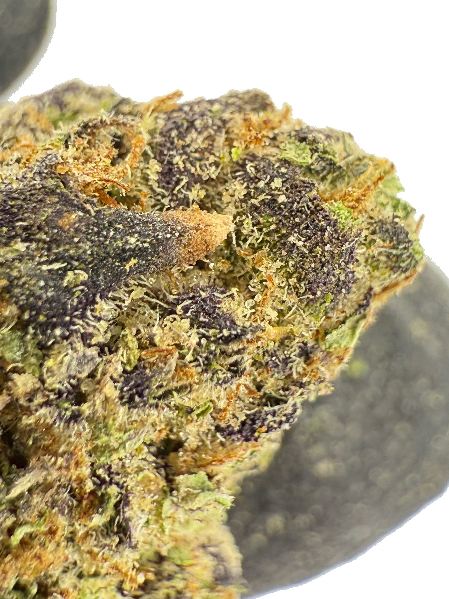 Designer Runtz - Damn Good | Legal Cannabis