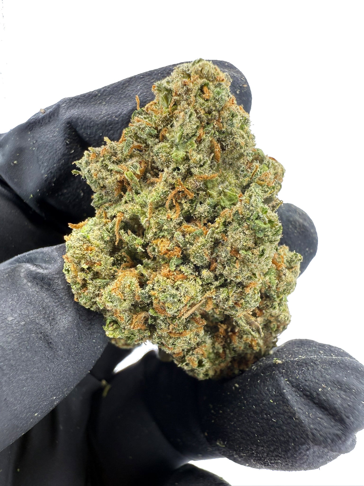 Dutch Dragon - Damn Good | Legal Cannabis