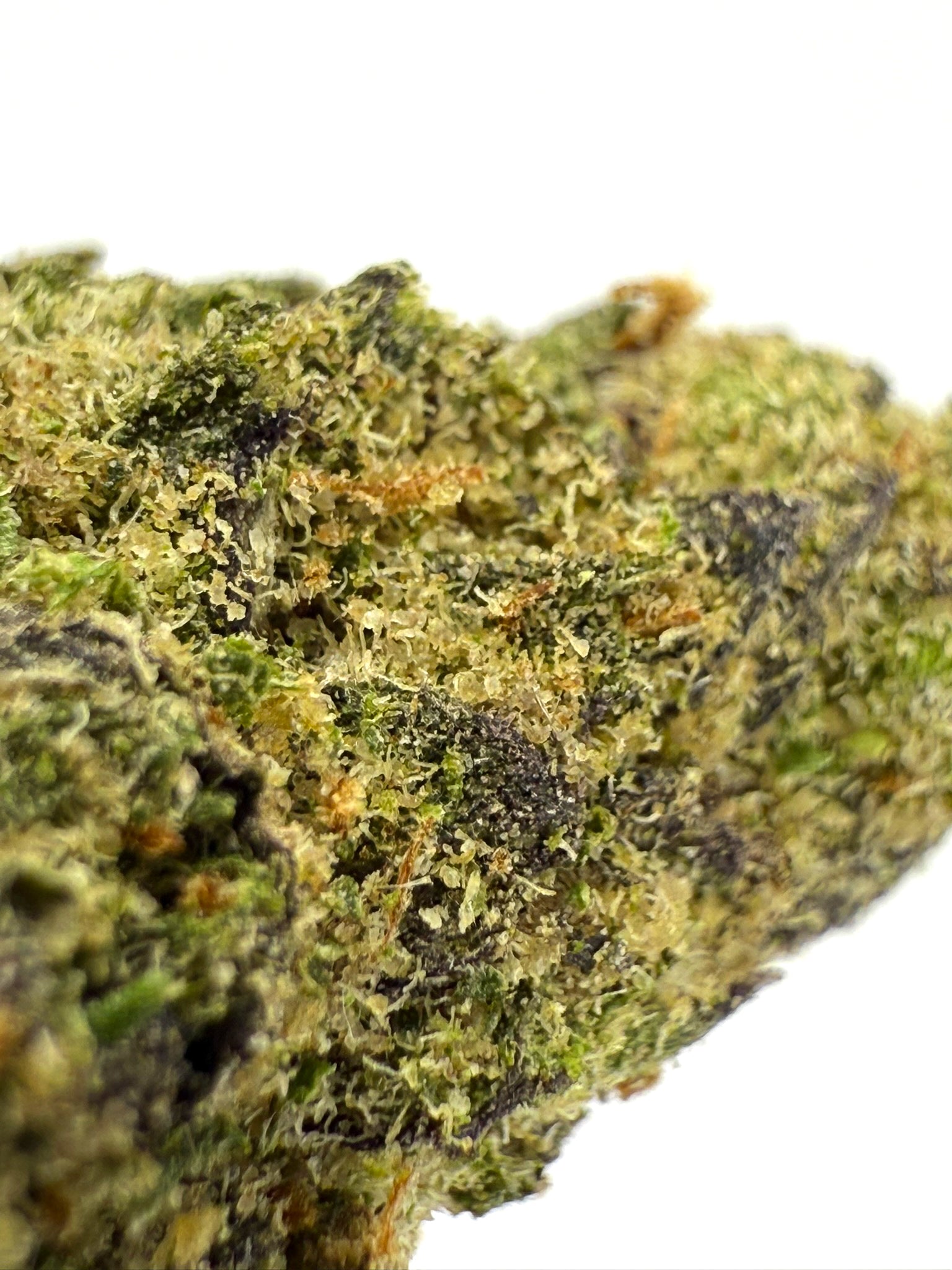 Grape Runtz - Damn Good | Legal Cannabis