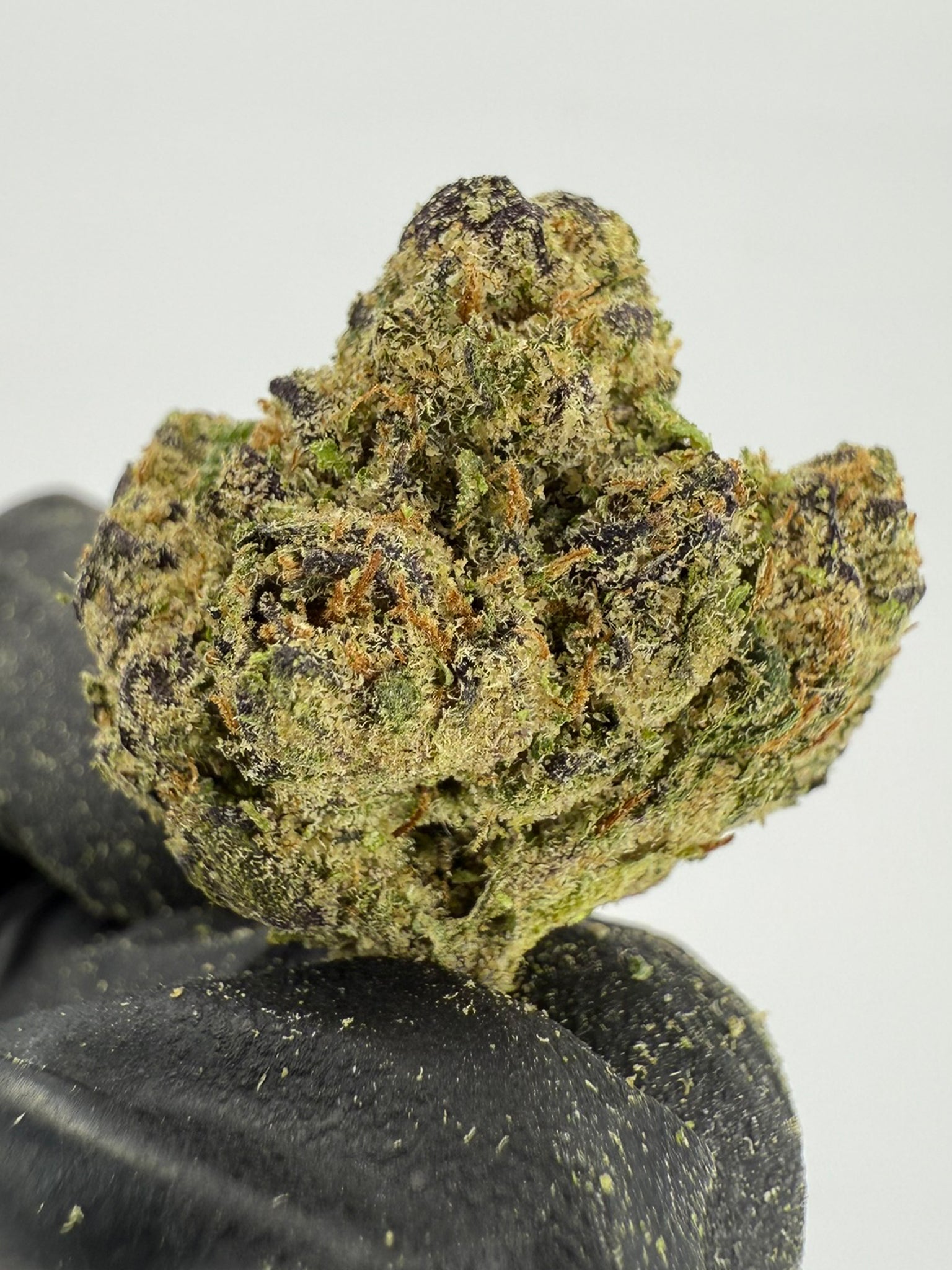 Grape Runtz - Damn Good | Legal Cannabis