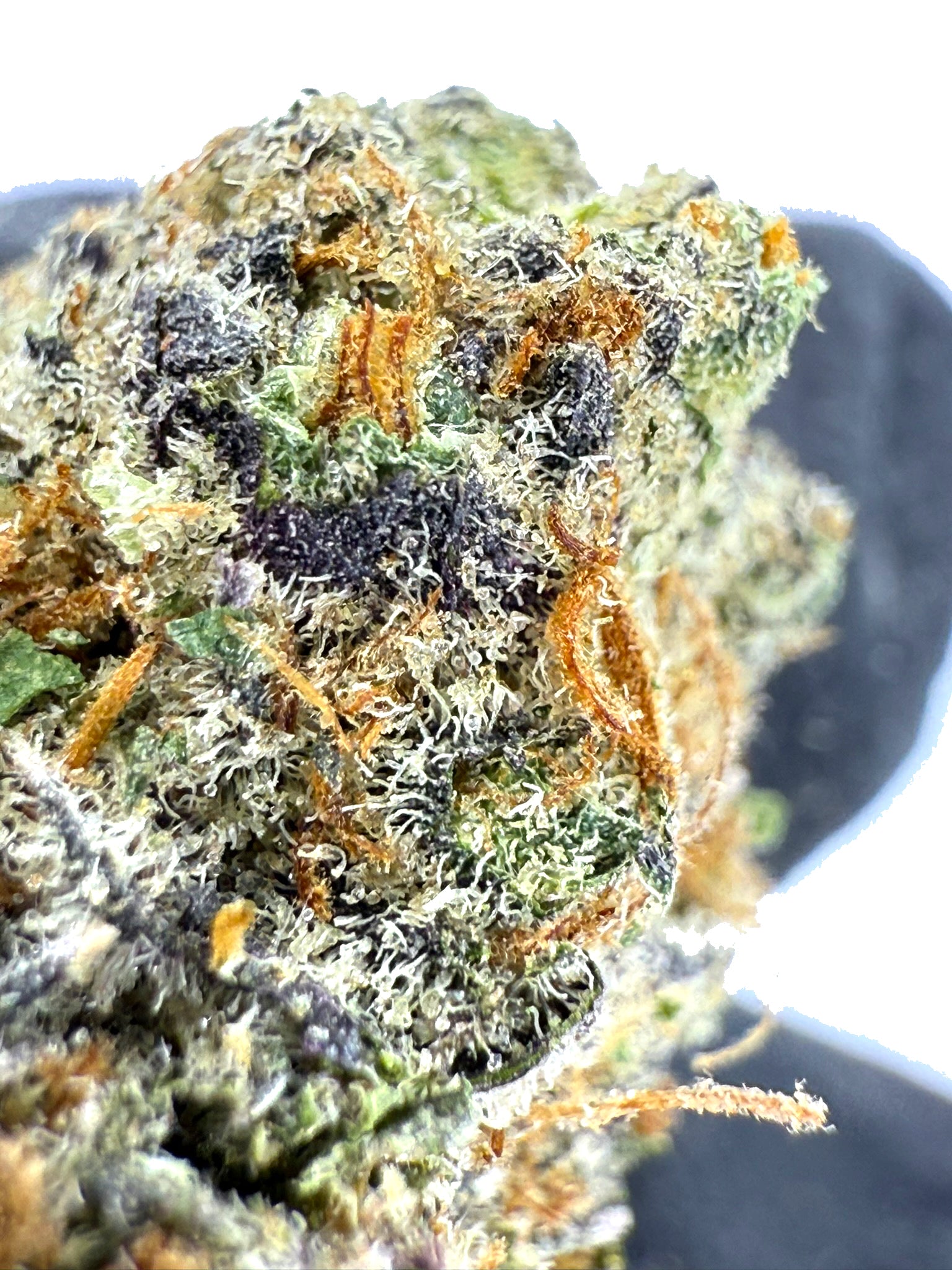 Pineapple Express - Damn Good | Legal Cannabis