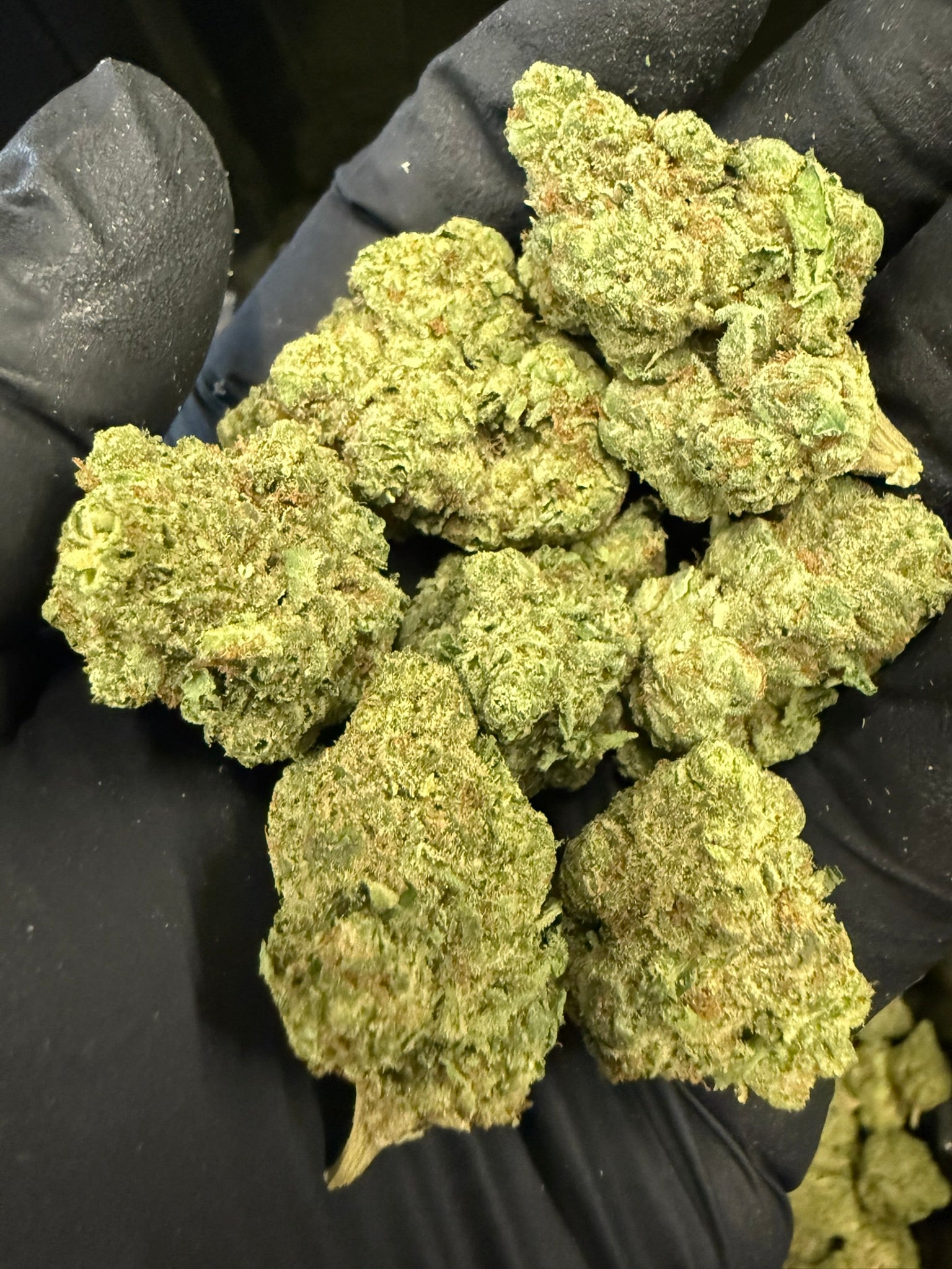 Strawberry Cheesecake - Damn Good | Legal Cannabis