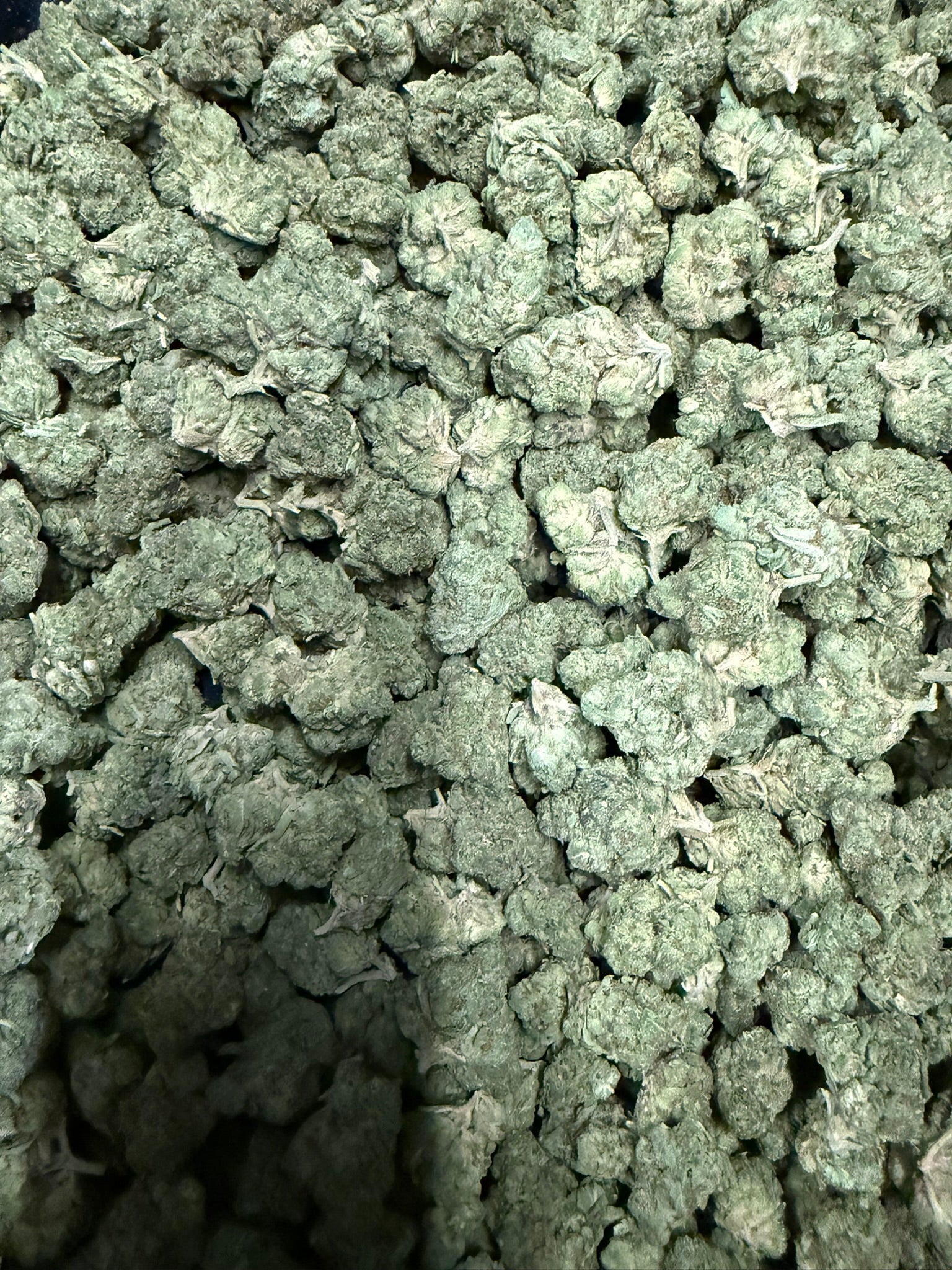 Strawberry Cheesecake - Damn Good | Legal Cannabis