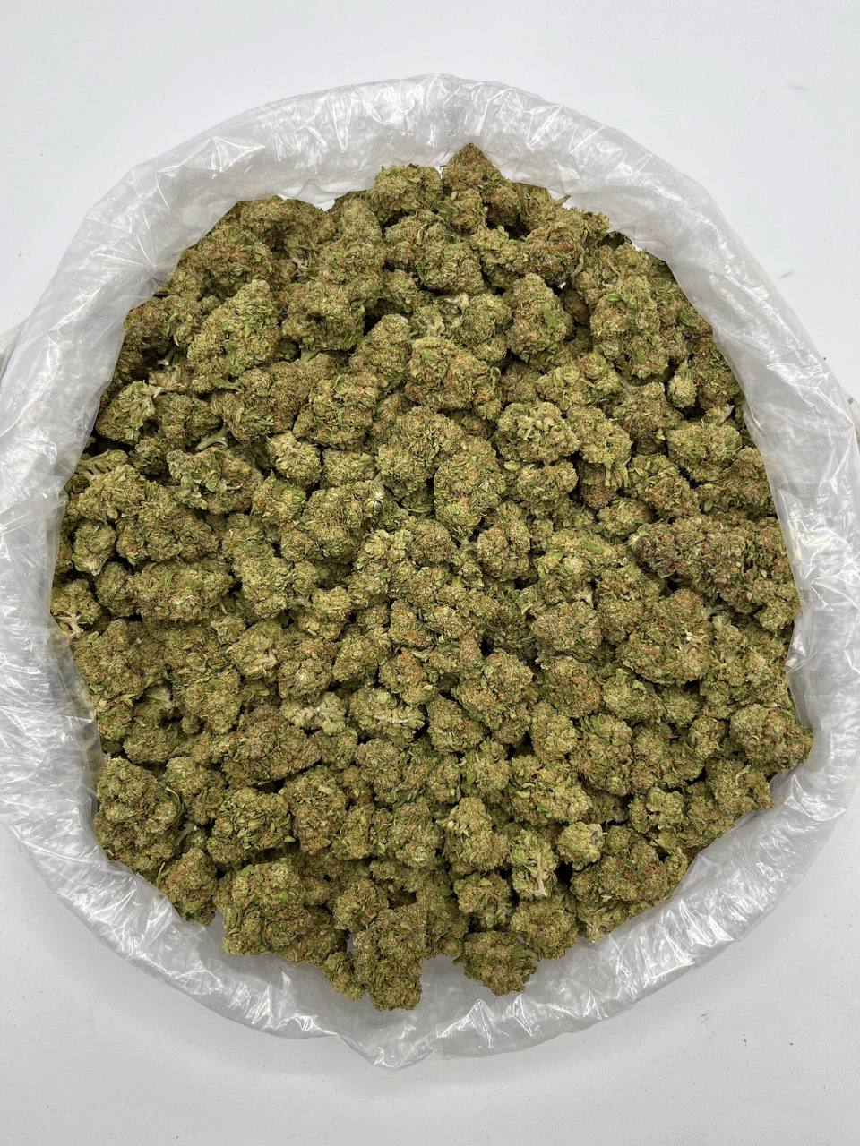 Jack Herer - Damn Good | Legal Cannabis