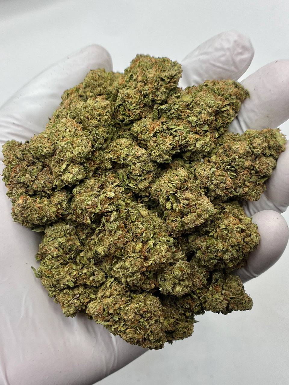 Jack Herer - Damn Good | Legal Cannabis