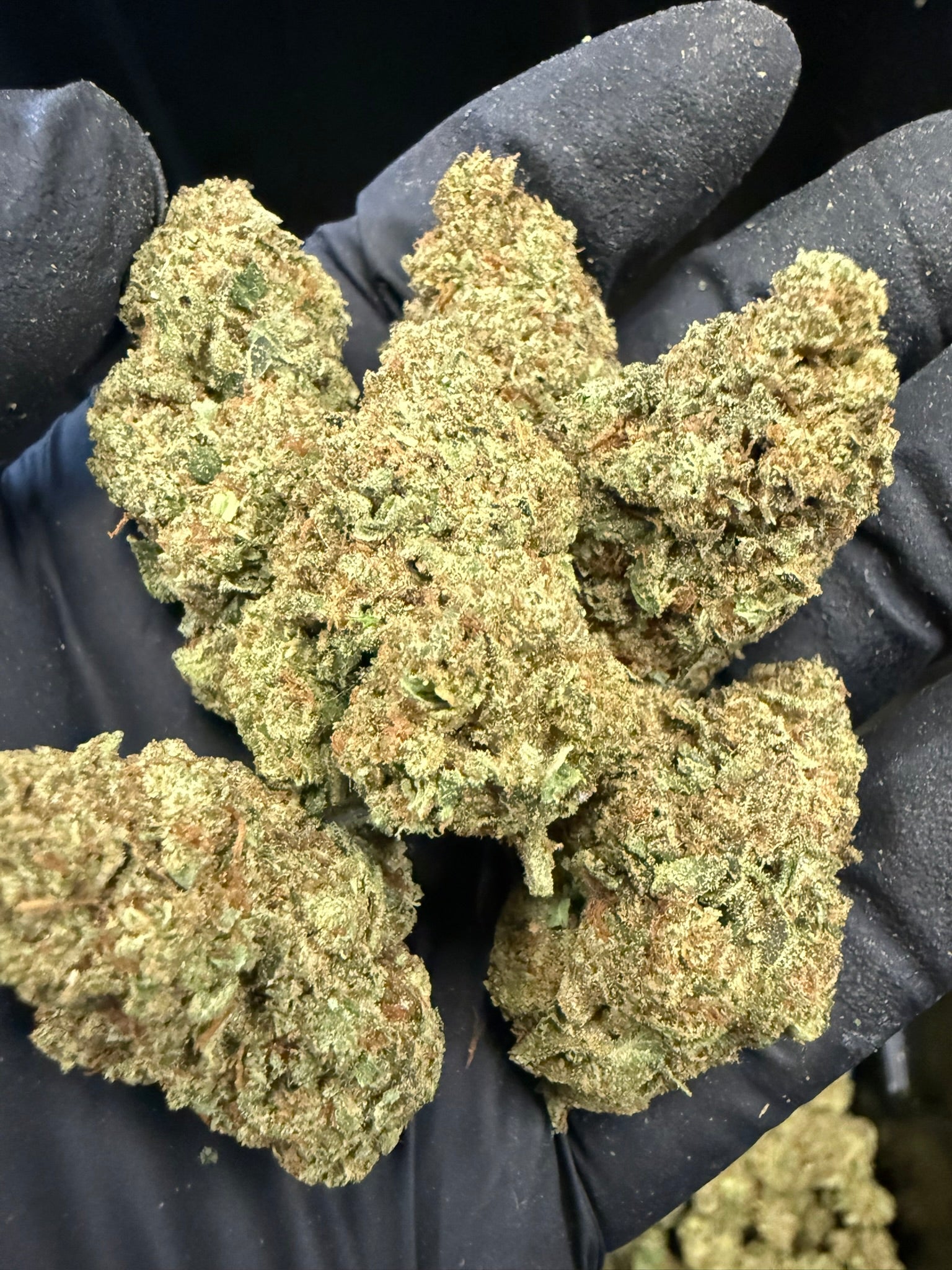 Jolly Rancher - Damn Good | Legal Cannabis