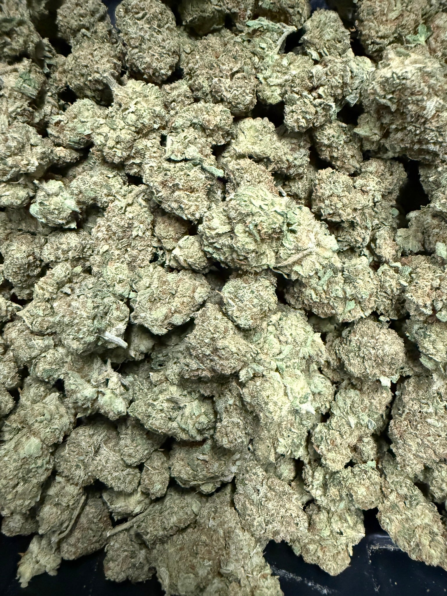 Jolly Rancher - Damn Good | Legal Cannabis