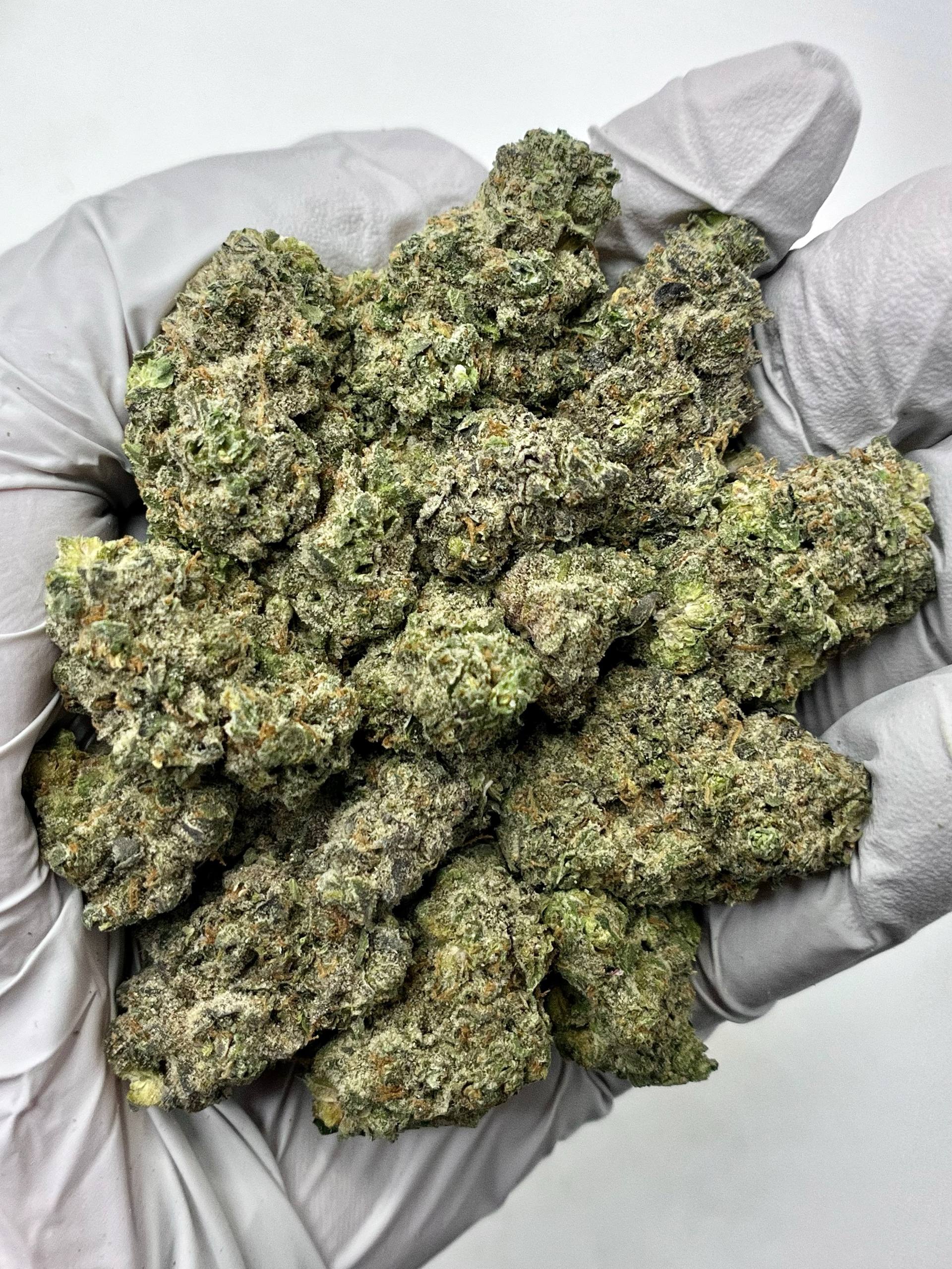 Sativa Diva - Damn Good | Legal Cannabis