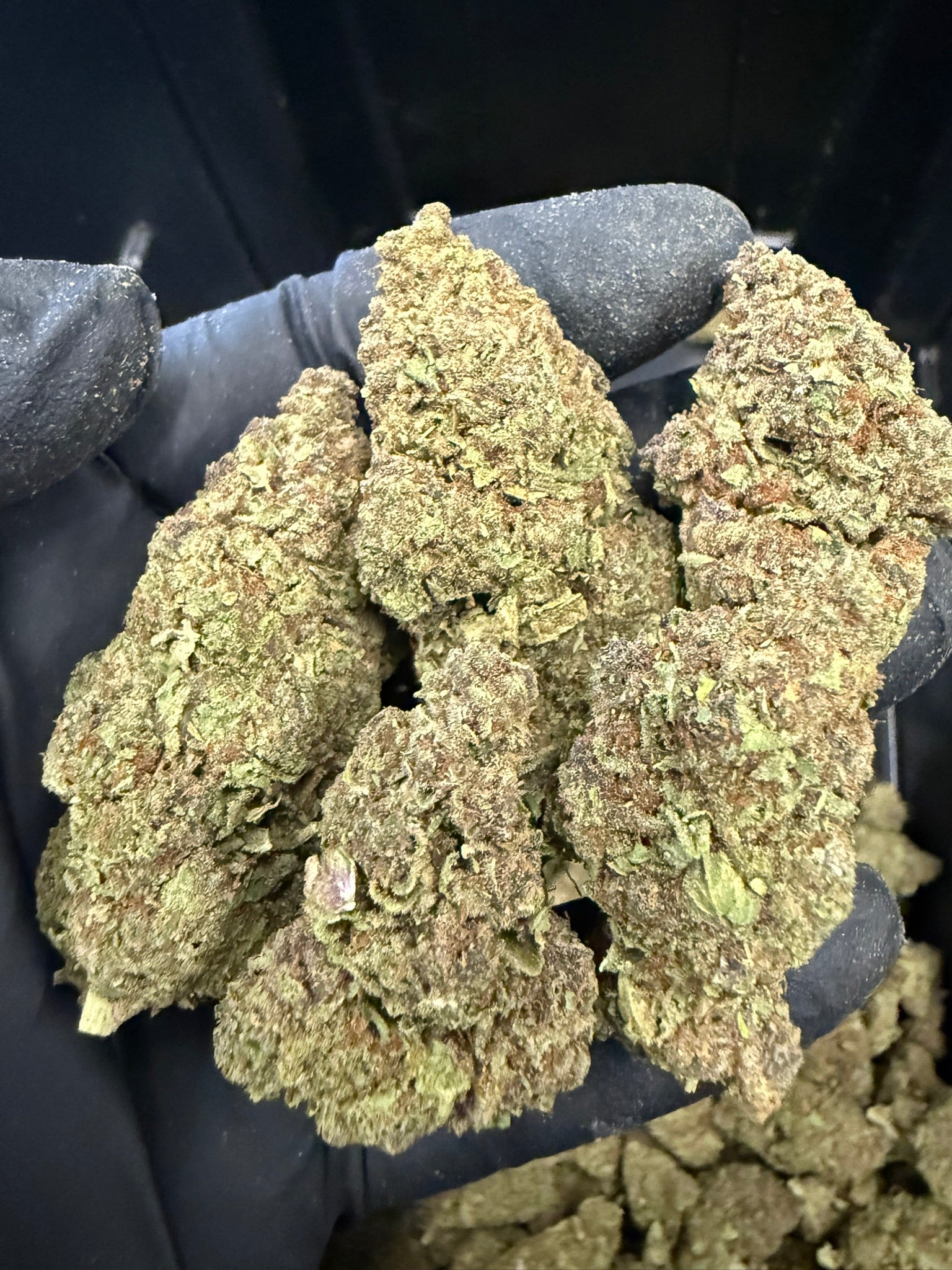 Trop Summer - Damn Good | Legal Cannabis