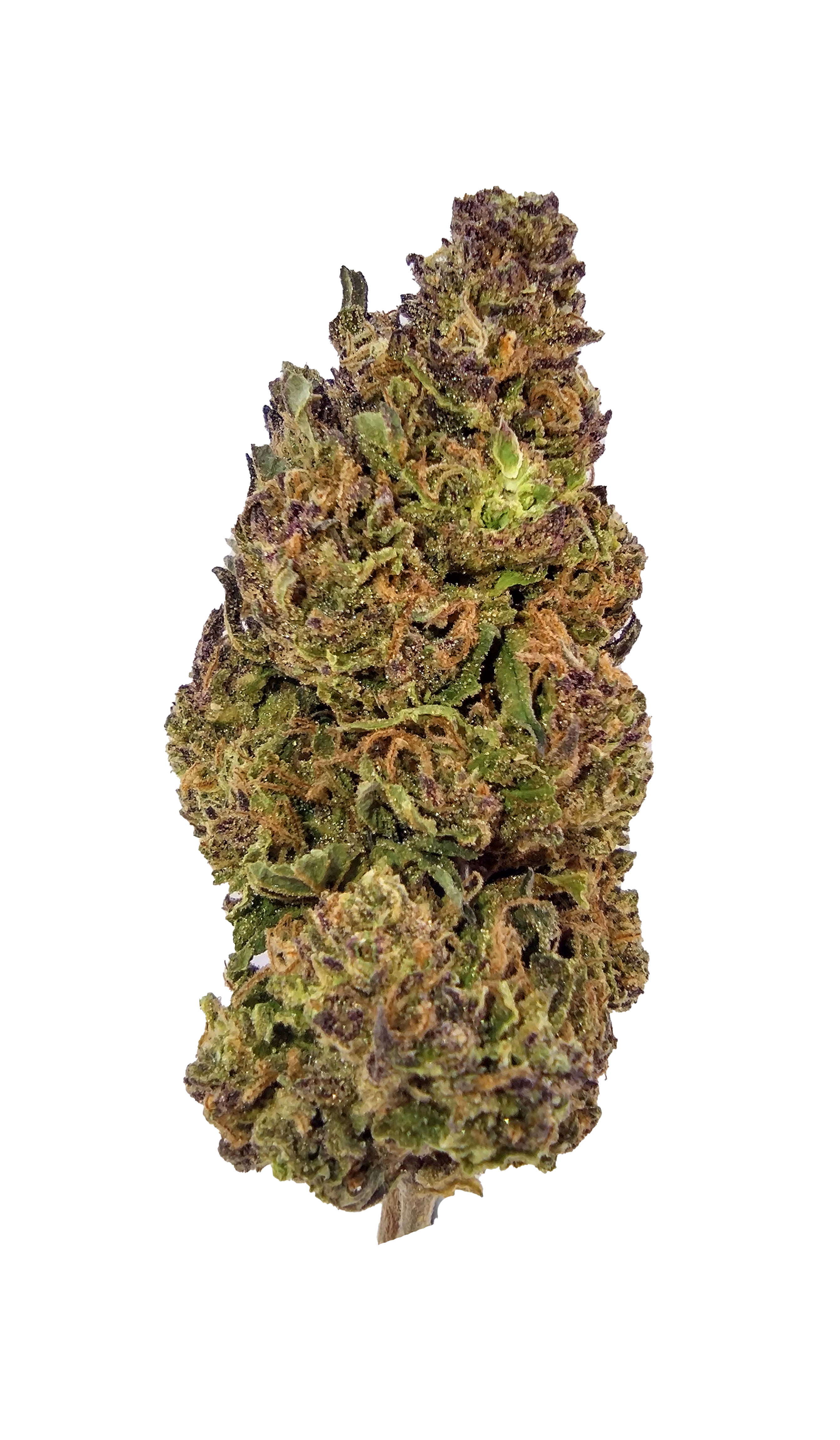 Venom OG - Damn Good | Legal Cannabis