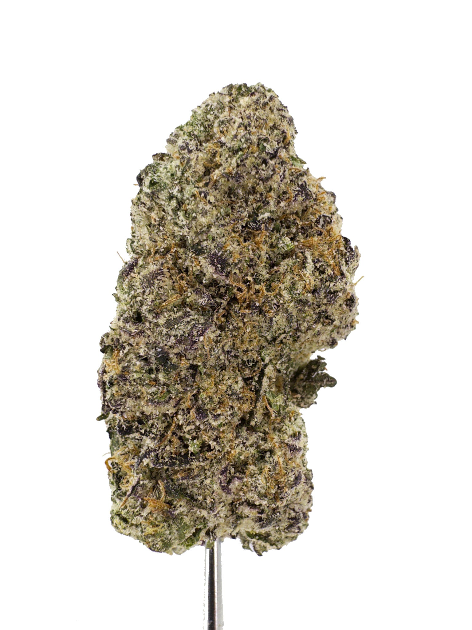 White Cherry Blossom