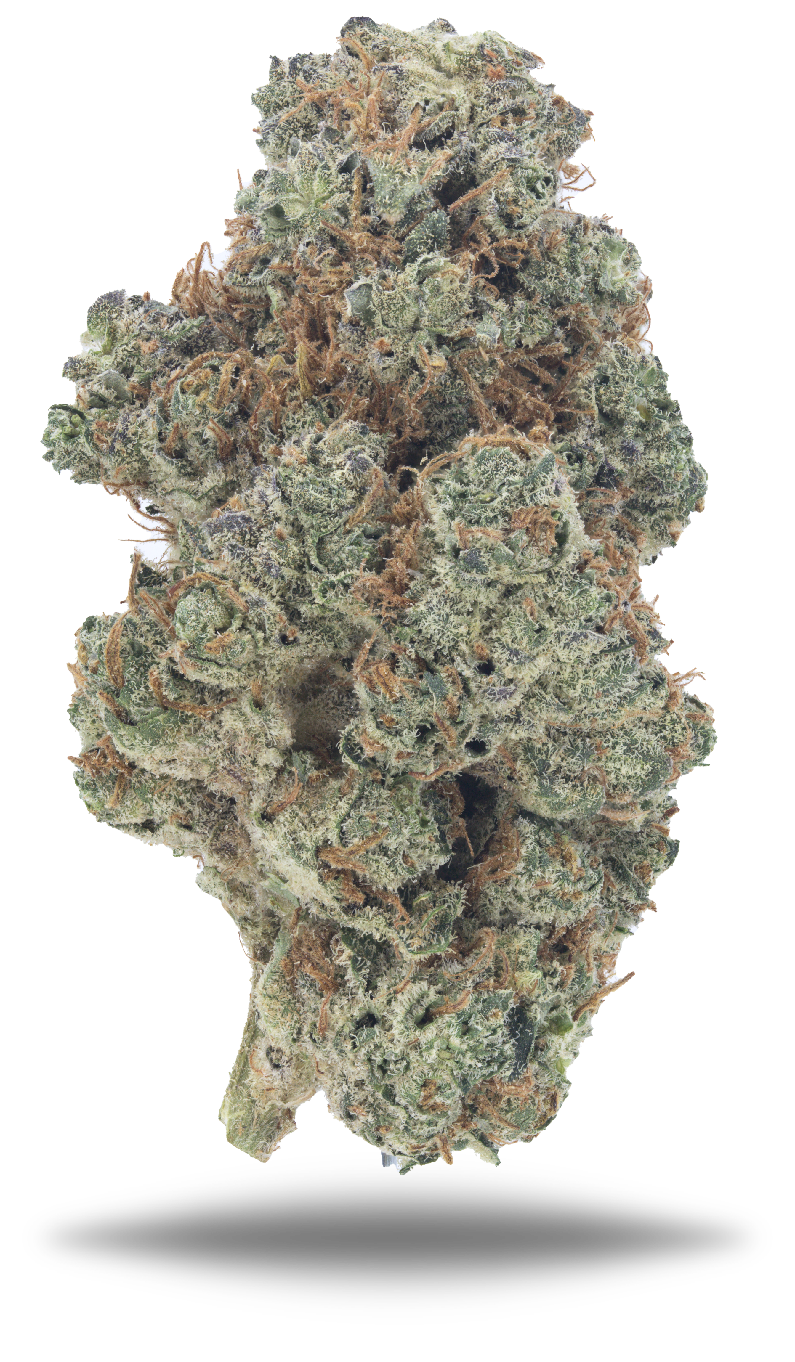 Cherry Gasoline - Damn Good | Legal Cannabis