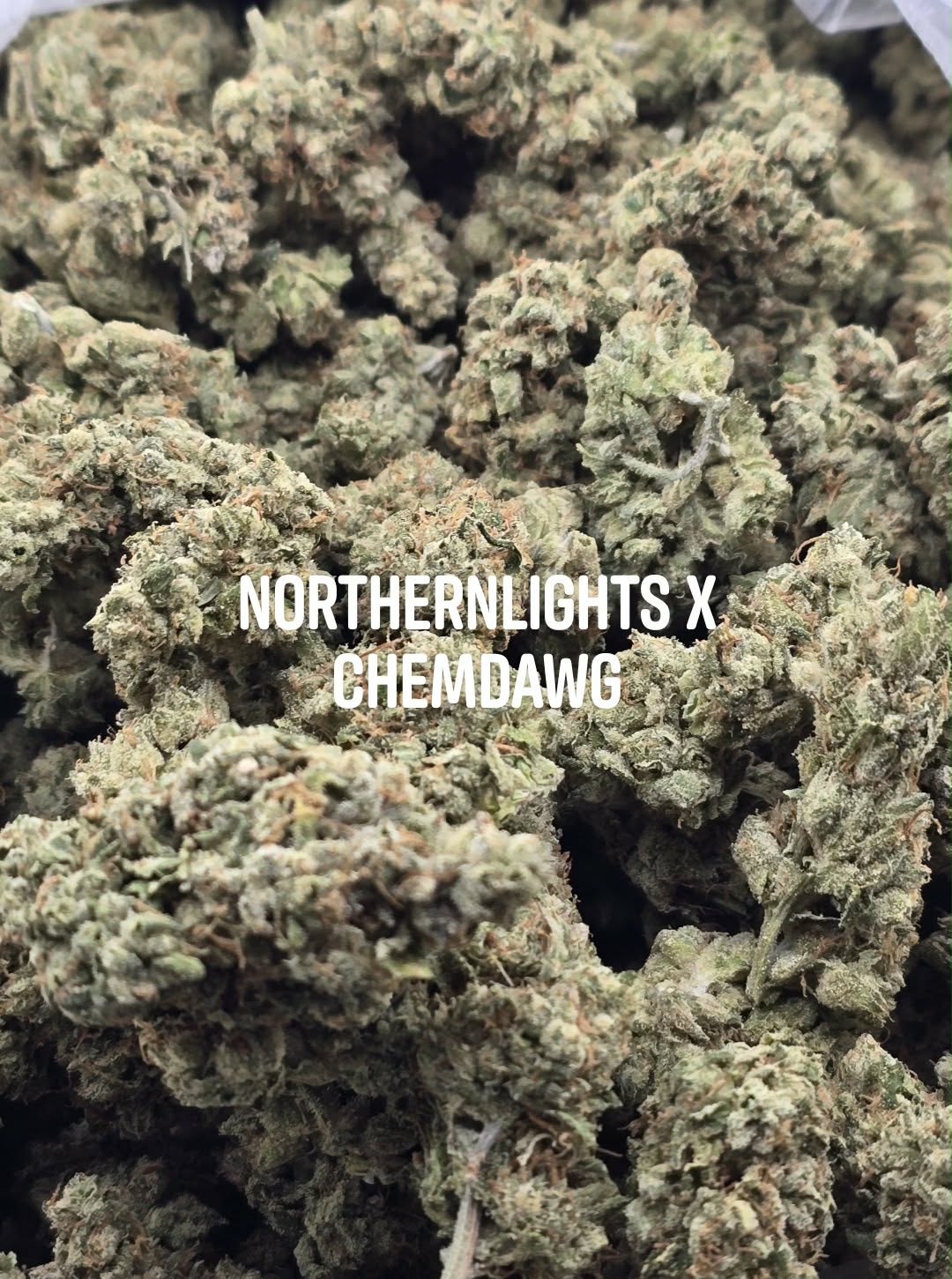 NF1 - Damn Good | Legal Cannabis