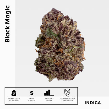 Black Magic Smalls - Damn Good | Legal Cannabis