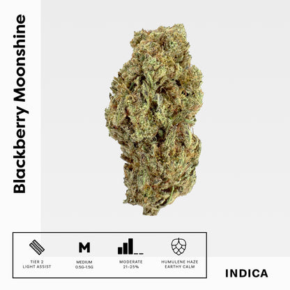 Blackberry Moonshine - Damn Good | Legal Cannabis