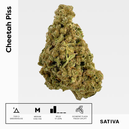 Cheetah Piss - Damn Good | Legal Cannabis