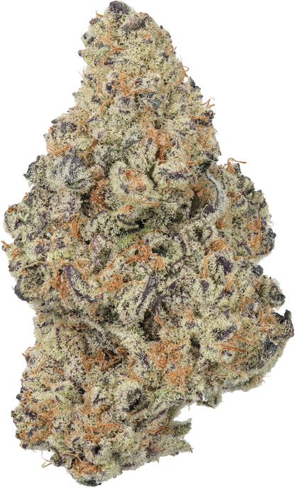 Dirty Girl Runtz - Damn Good | Legal Cannabis