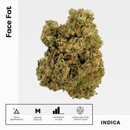 Face Fat - Damn Good | Legal Cannabis