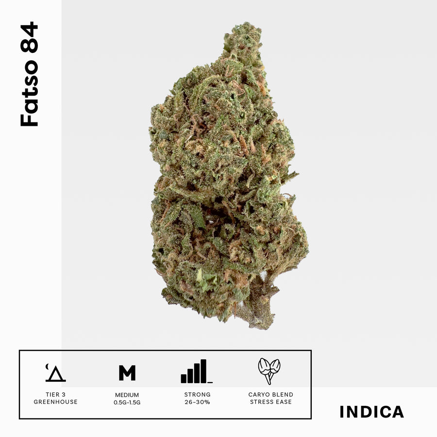 Fatso 84