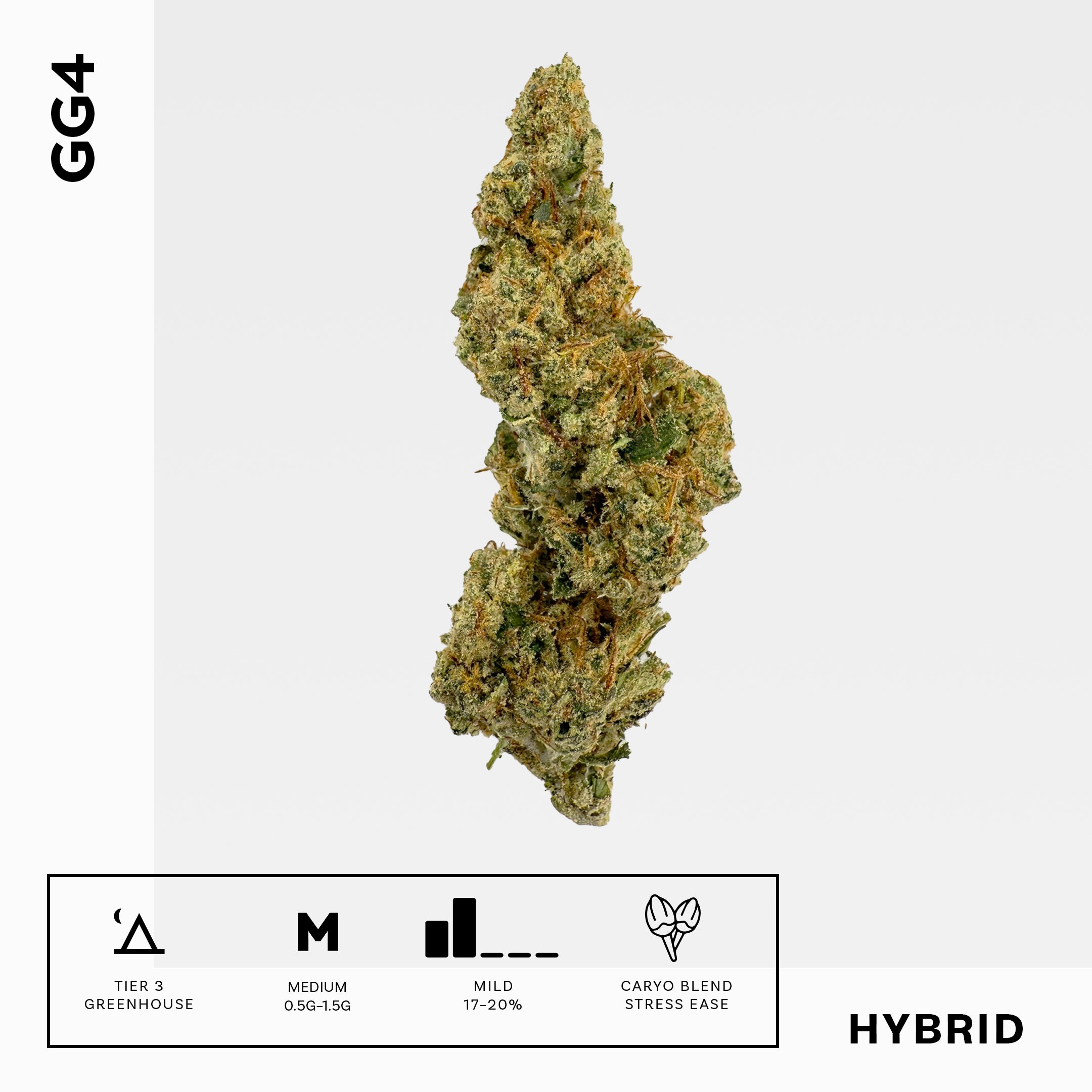 GG4 - Damn Good | Legal Cannabis