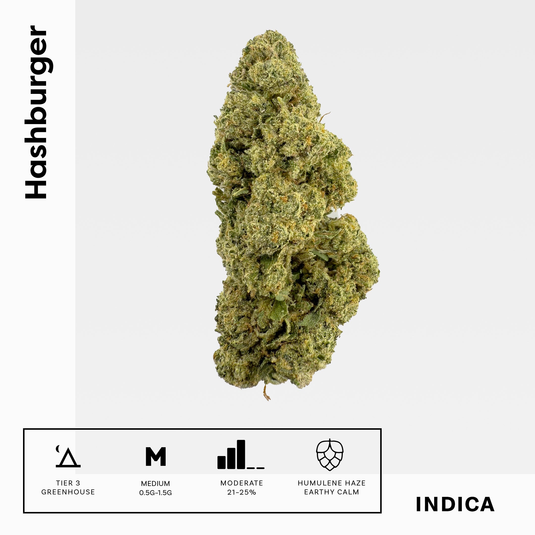 Hashburger - Damn Good | Legal Cannabis