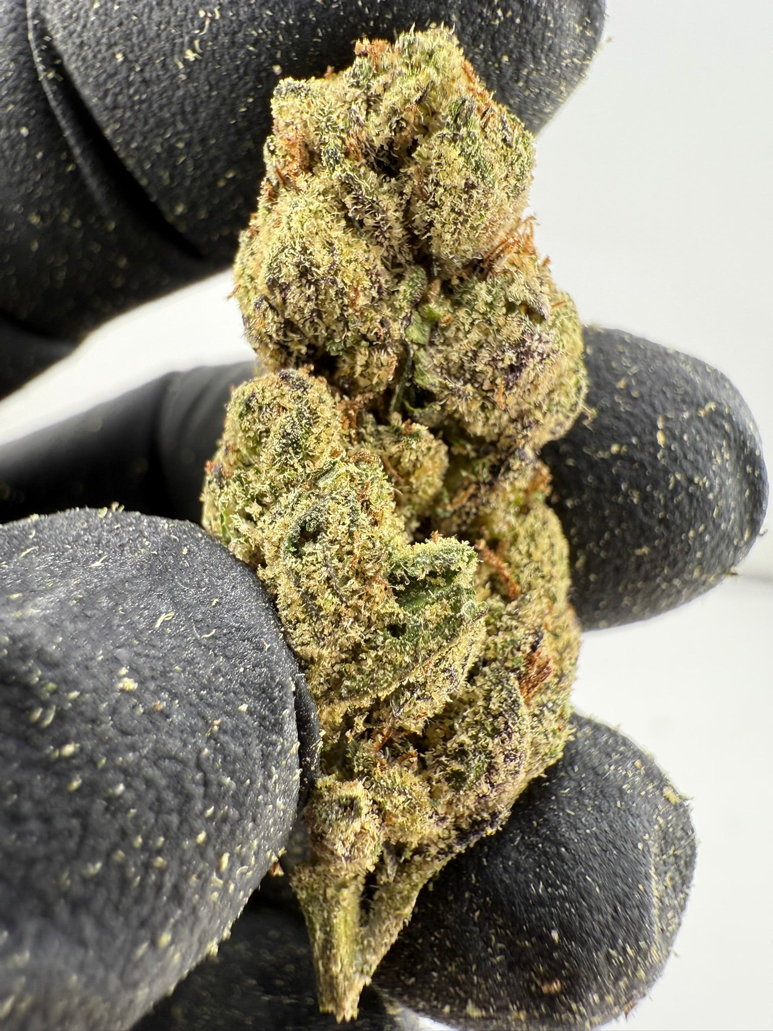 Frosted Runts Smalls