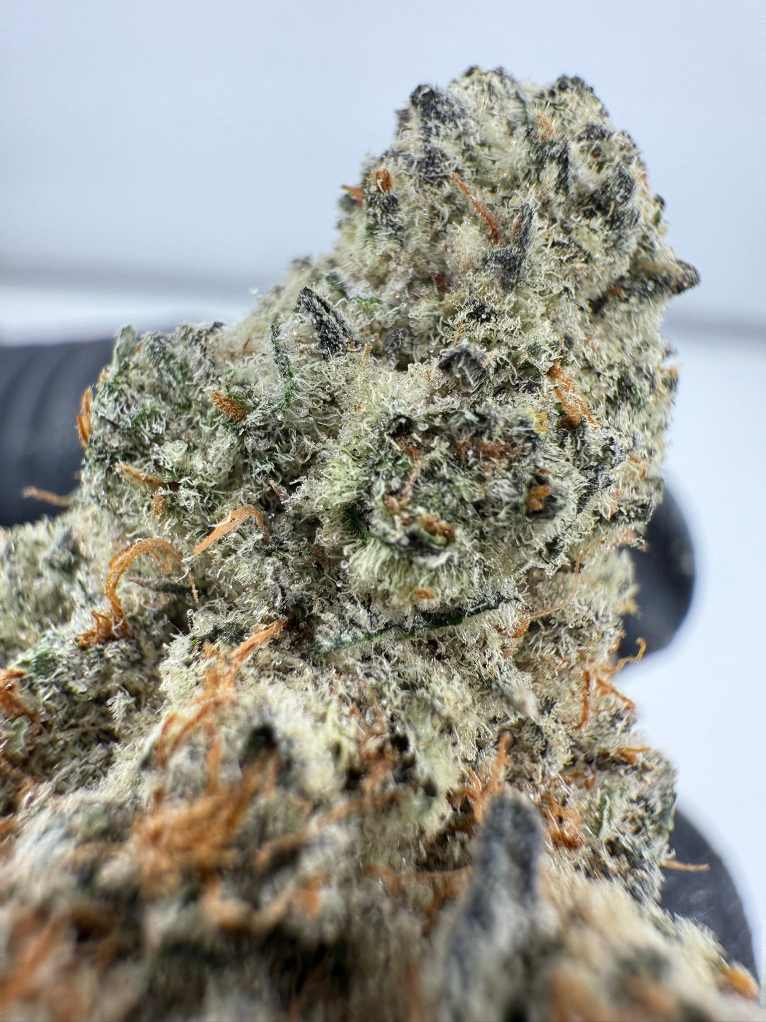 C3PO - Damn Good | Legal Cannabis