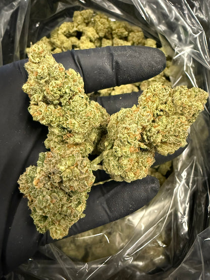 Lemon Pumpkin - Damn Good | Legal Cannabis