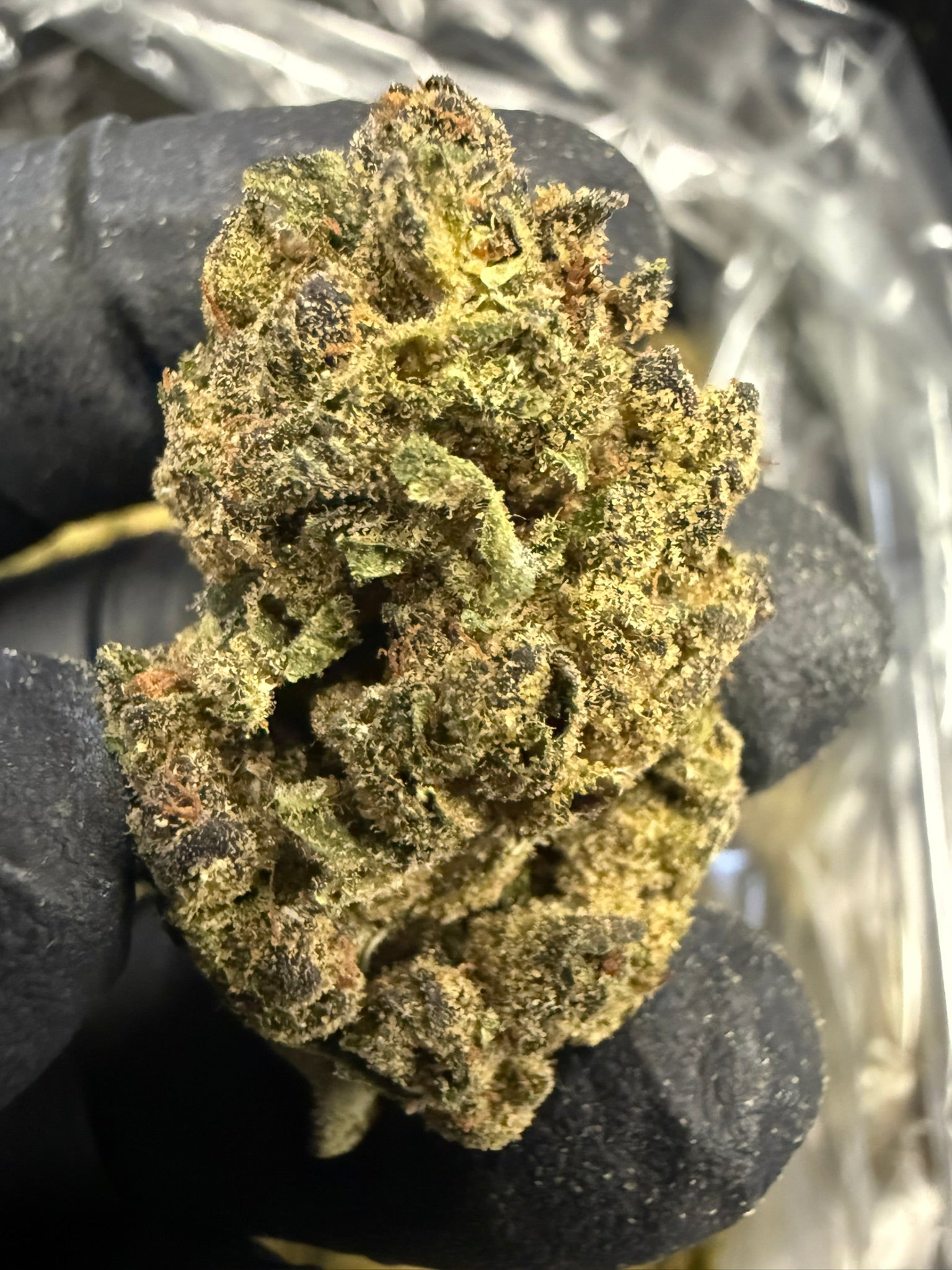 Grape Pie x Blueberry - Damn Good | Legal Cannabis