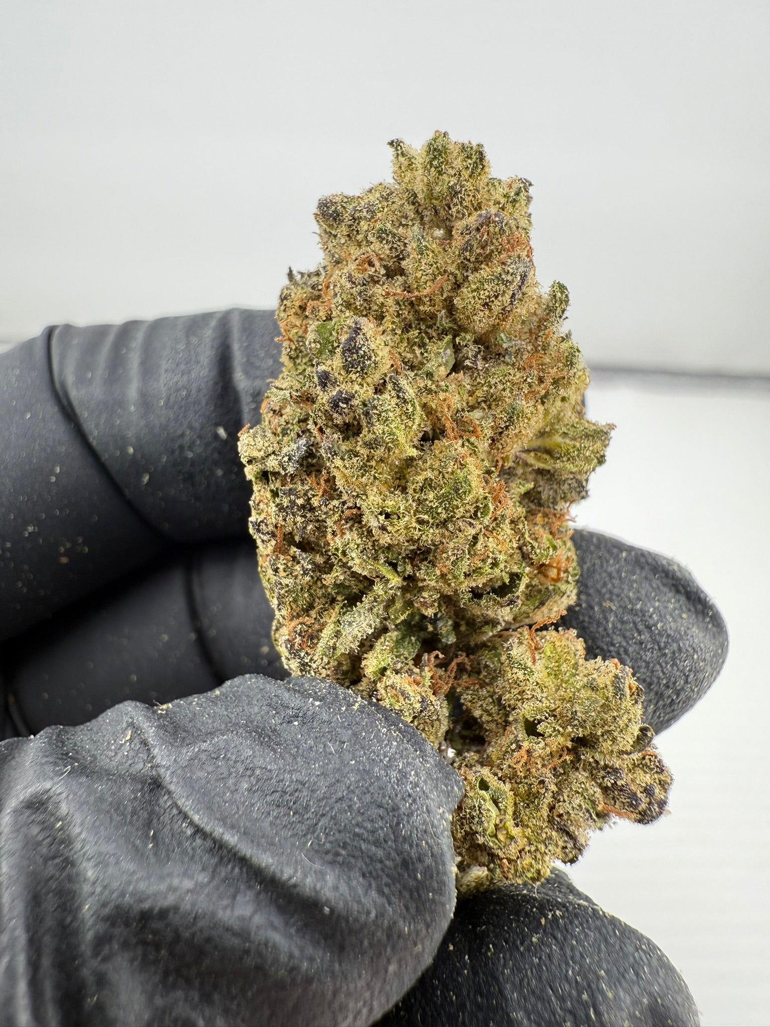 Grape Pie x Blueberry - Damn Good | Legal Cannabis