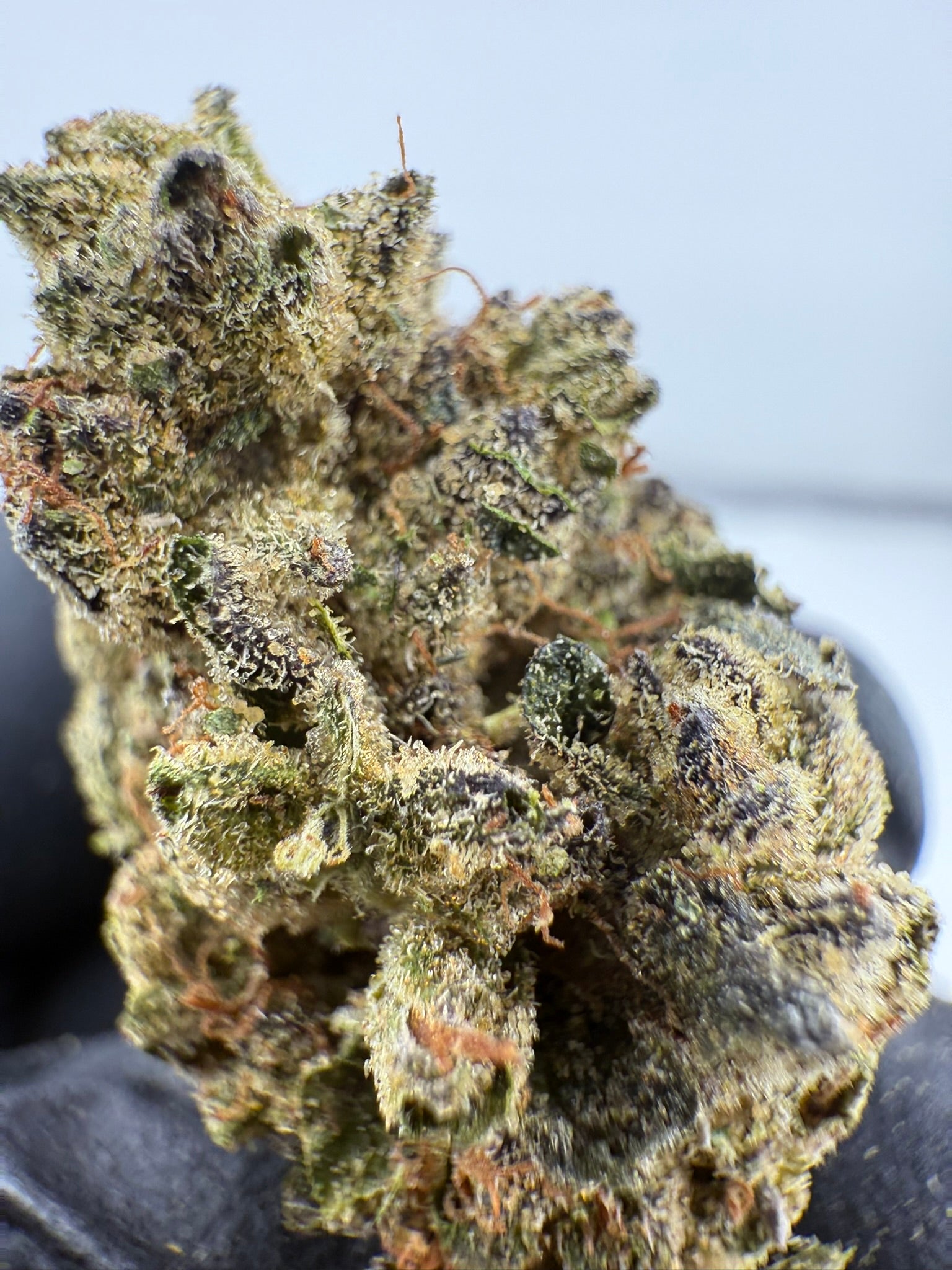 Grape Pie x Blueberry - Damn Good | Legal Cannabis