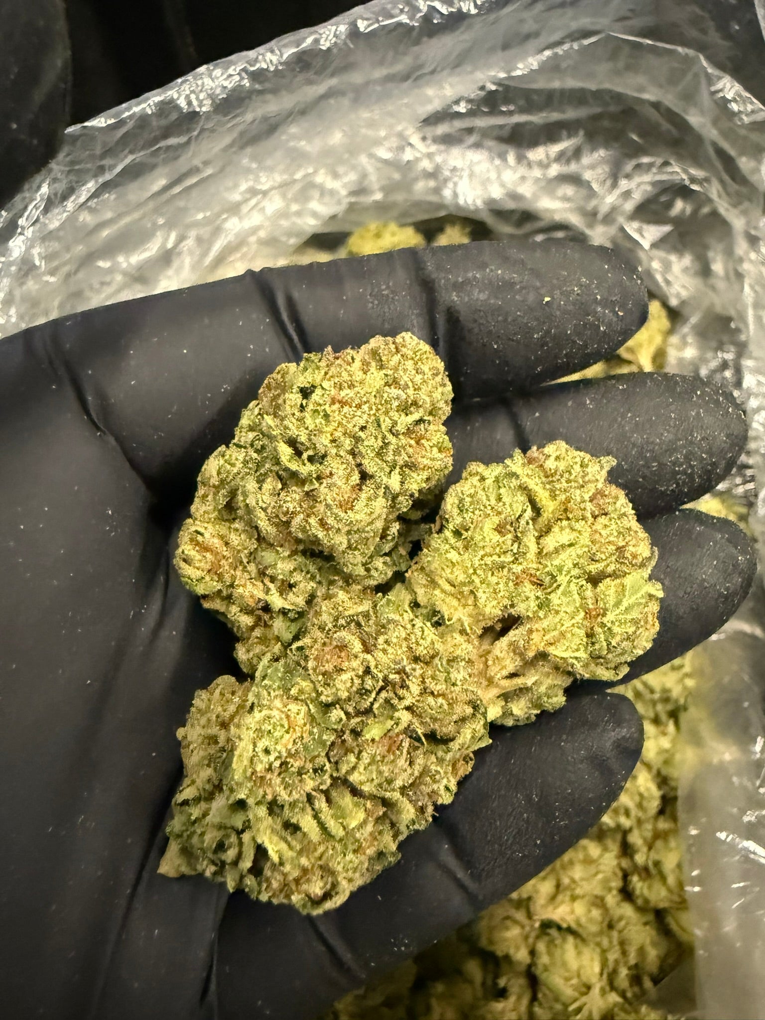 Cuban Affair - Damn Good | Legal Cannabis