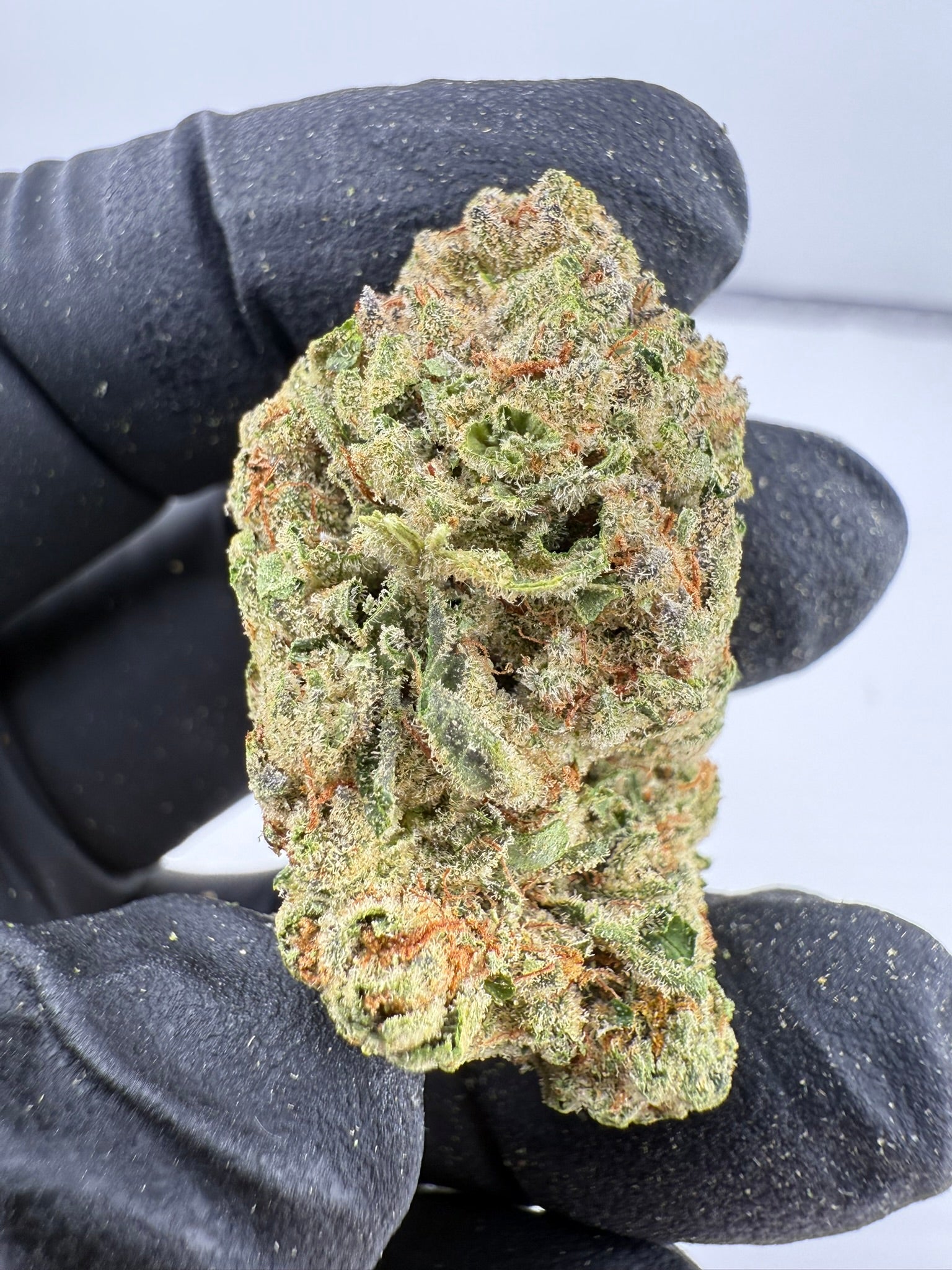 Cuban Affair - Damn Good | Legal Cannabis