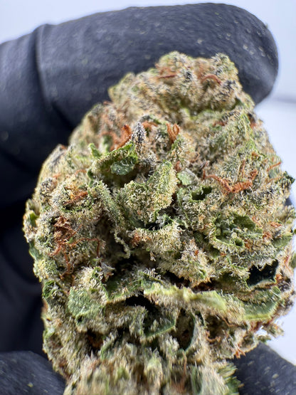 Cuban Affair - Damn Good | Legal Cannabis